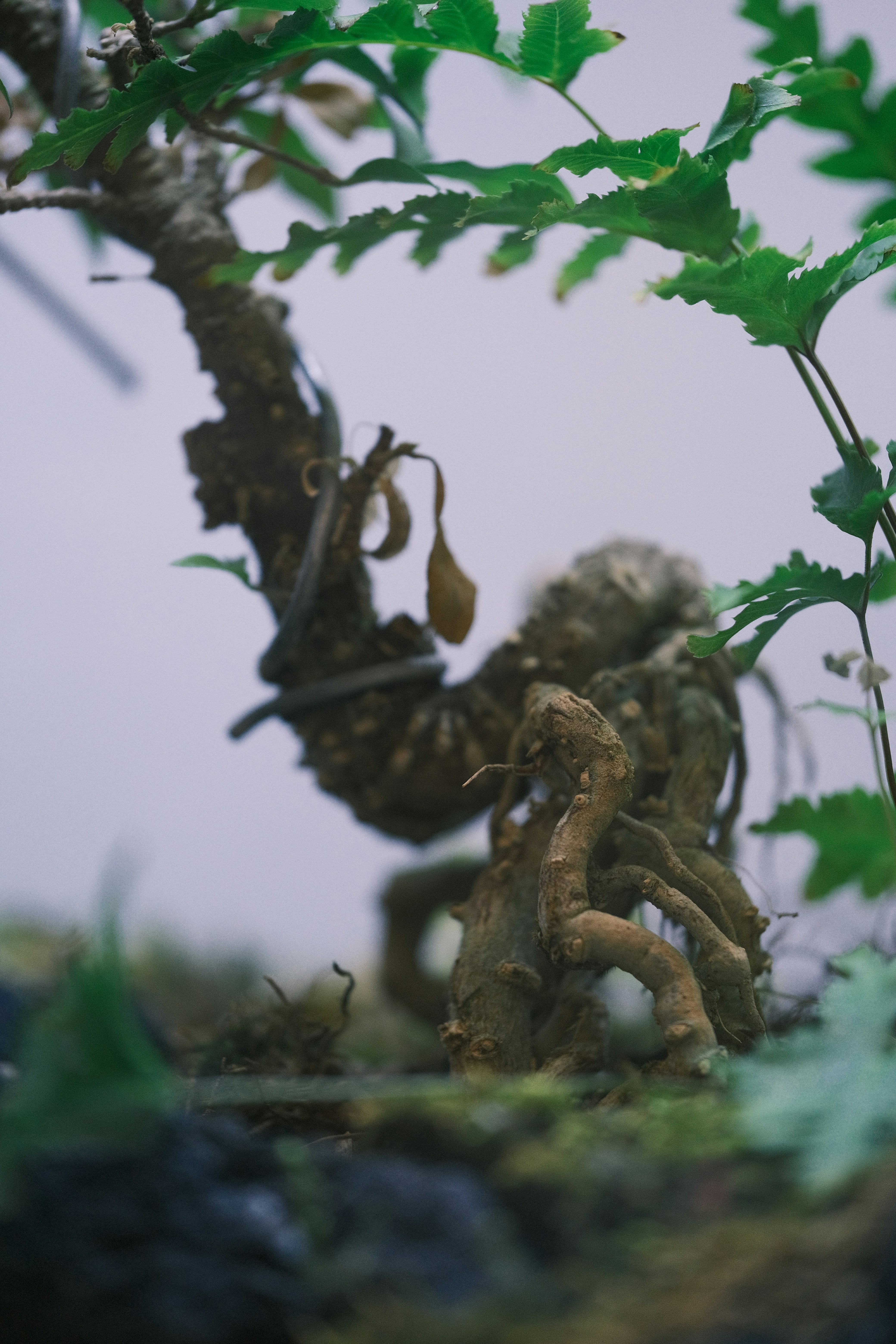a figurine of a man climbing a tree