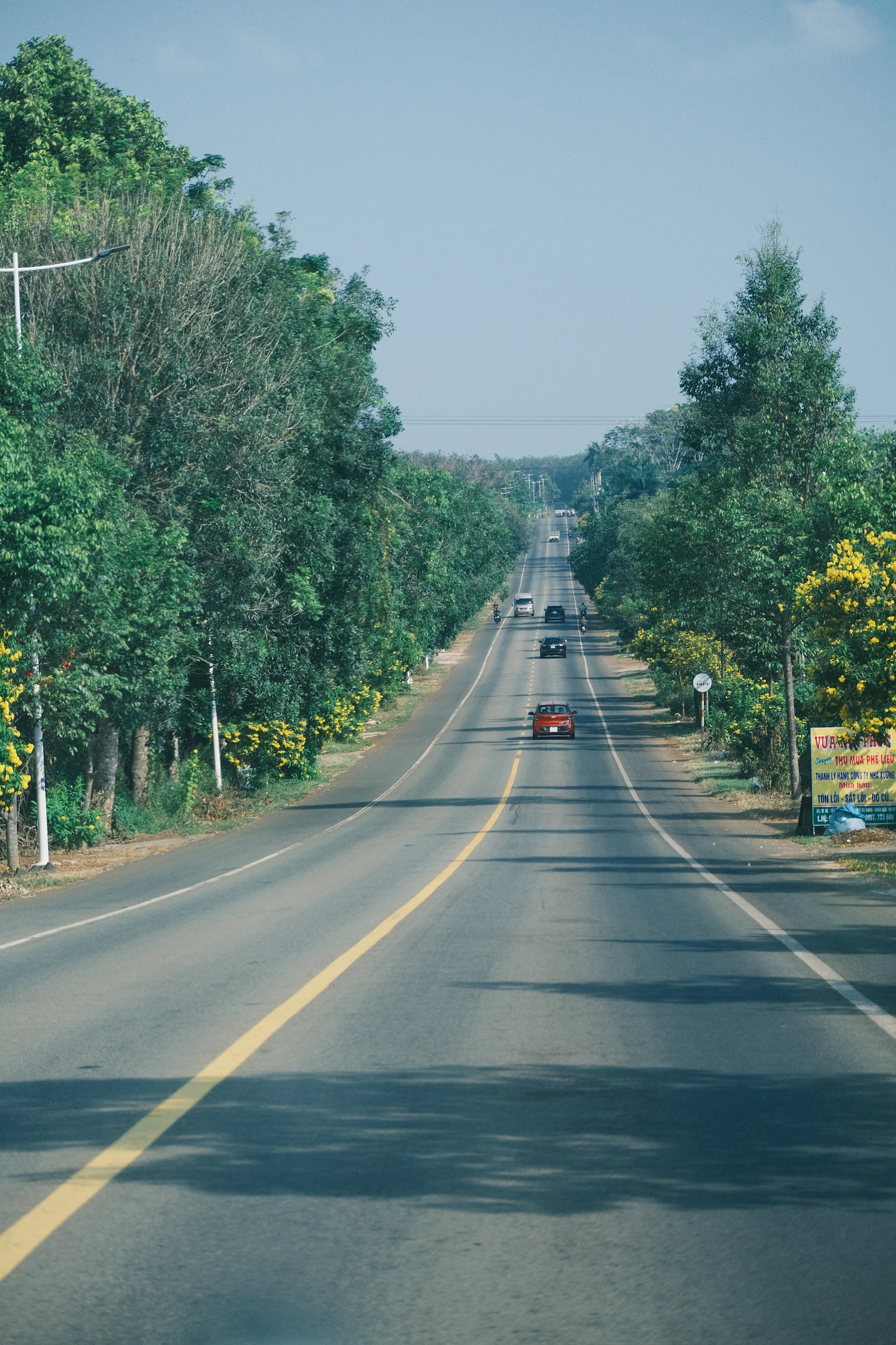 a car driving down a road with trees lining both sides
