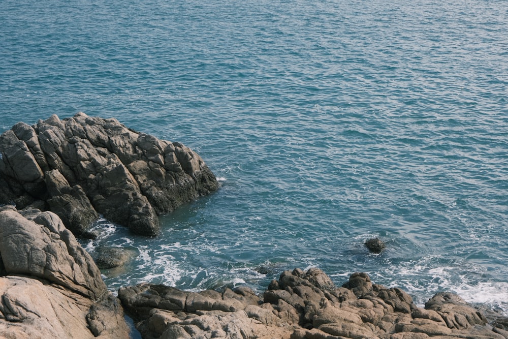 a person standing on a rock next to the ocean