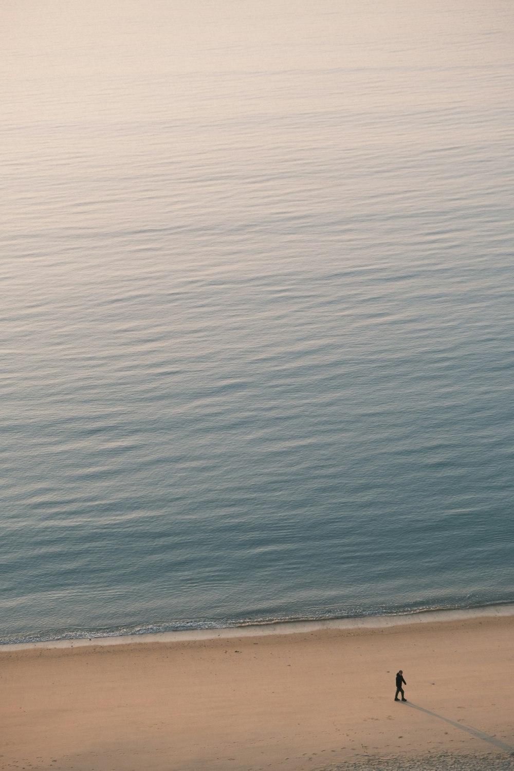 a person walking on a beach near the ocean