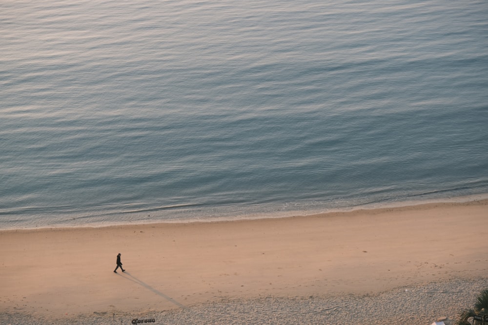 a person walking on a beach next to the ocean