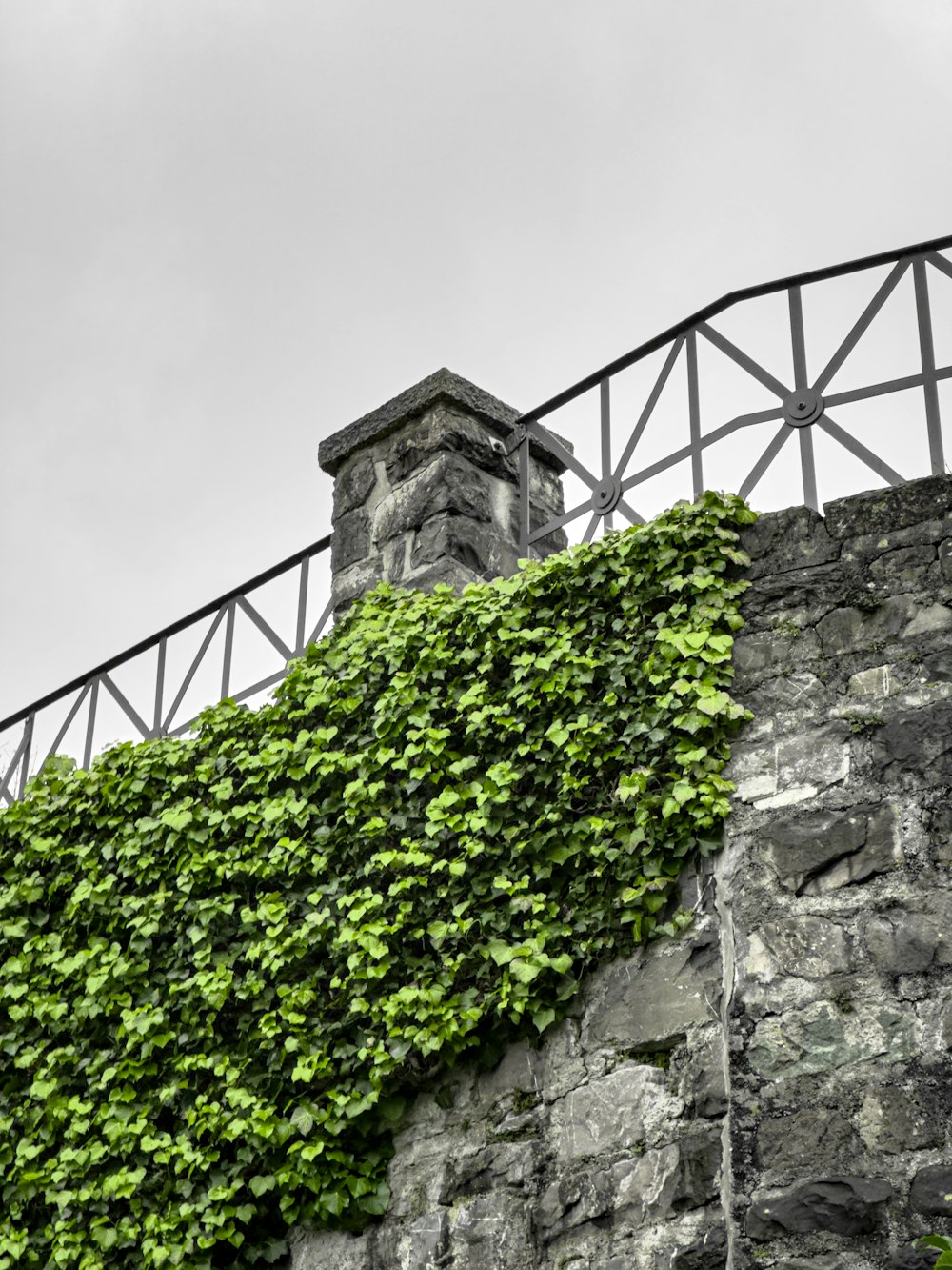 a stone wall covered in green ivy