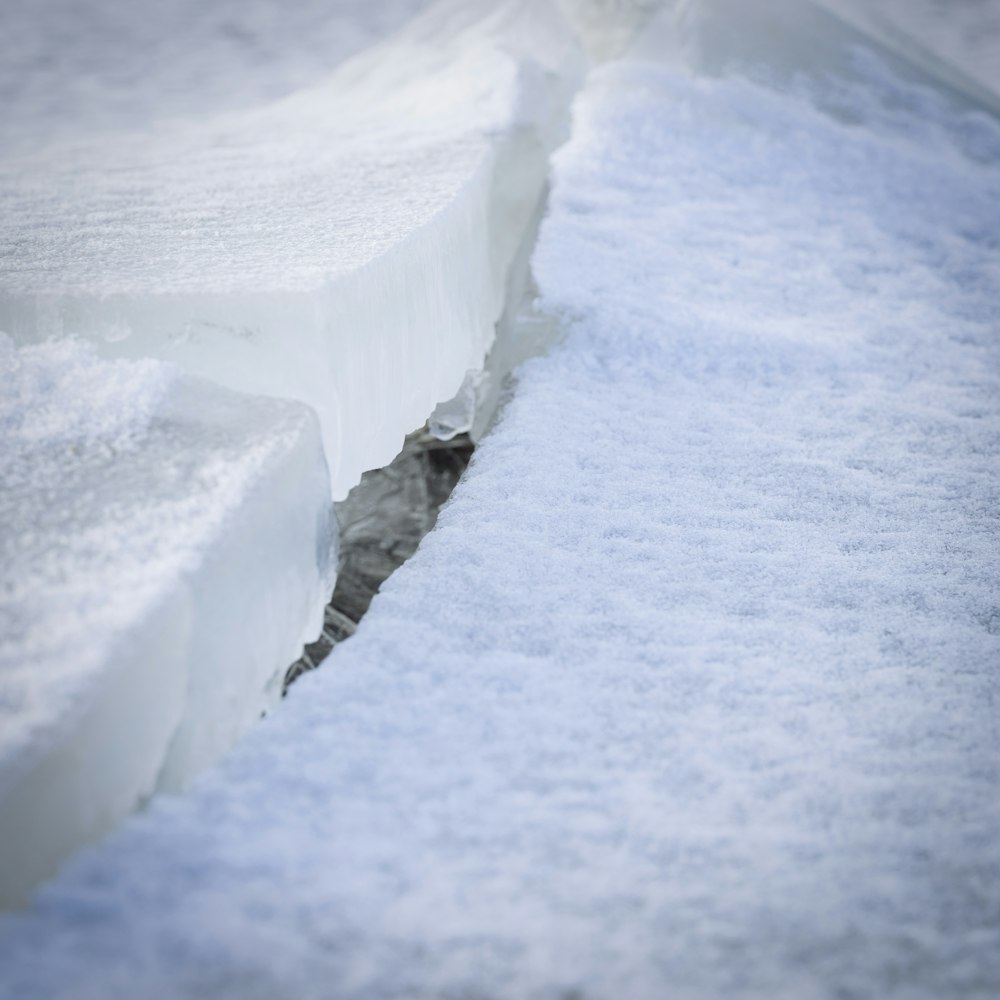 a bird is sitting on the edge of a crack in the snow