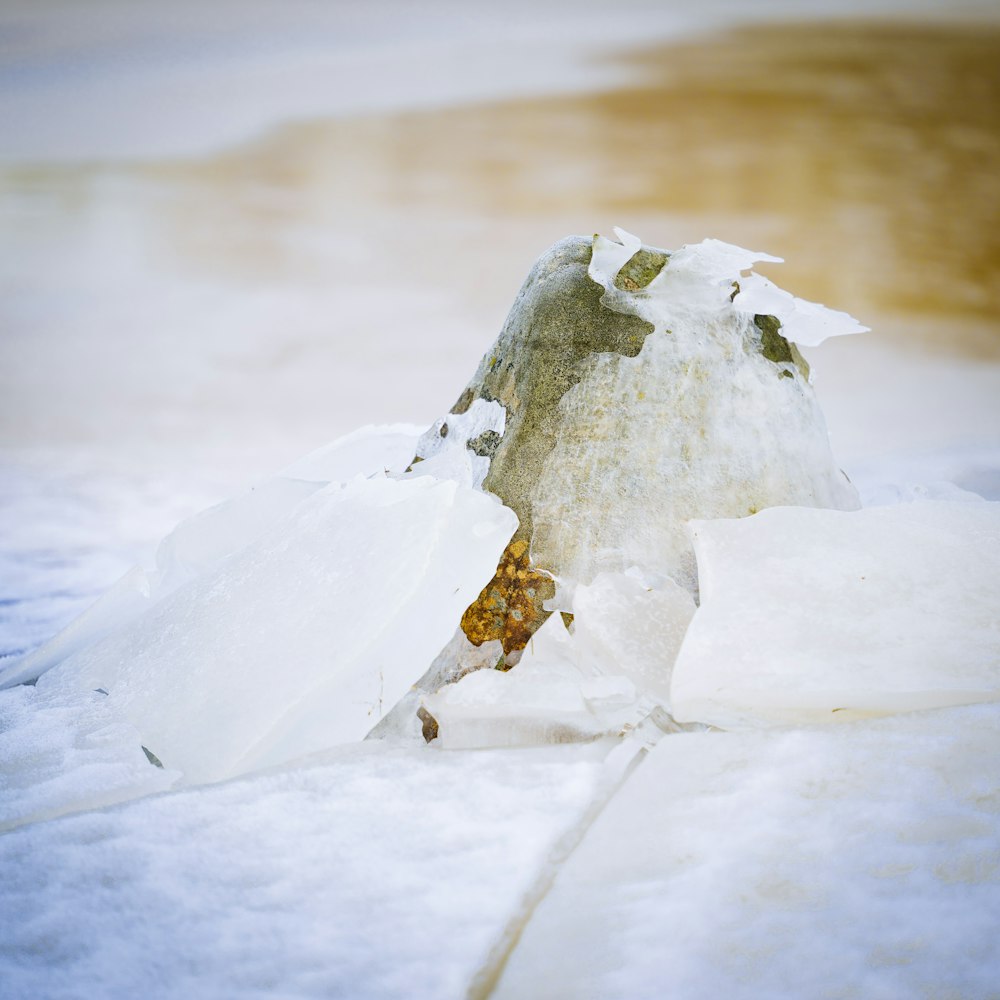 a rock covered in snow next to a body of water