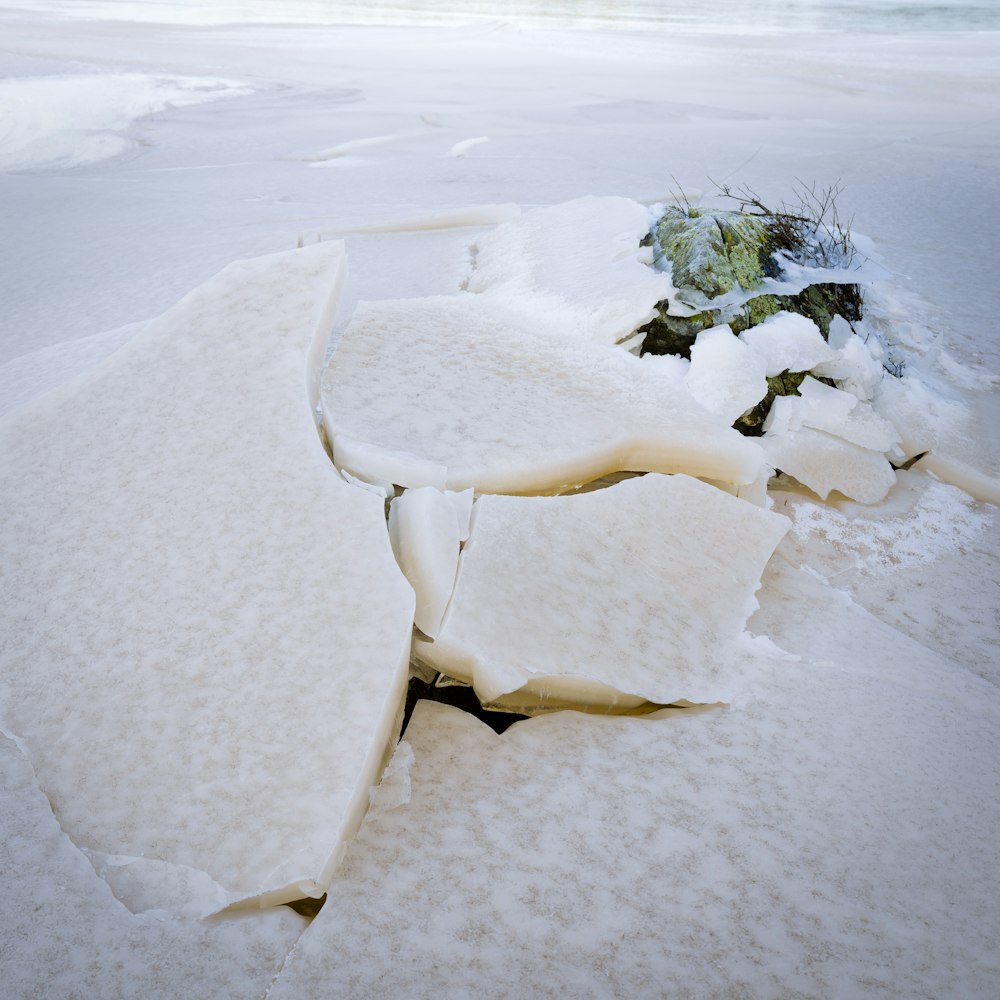 a pile of snow sitting on top of a sandy beach