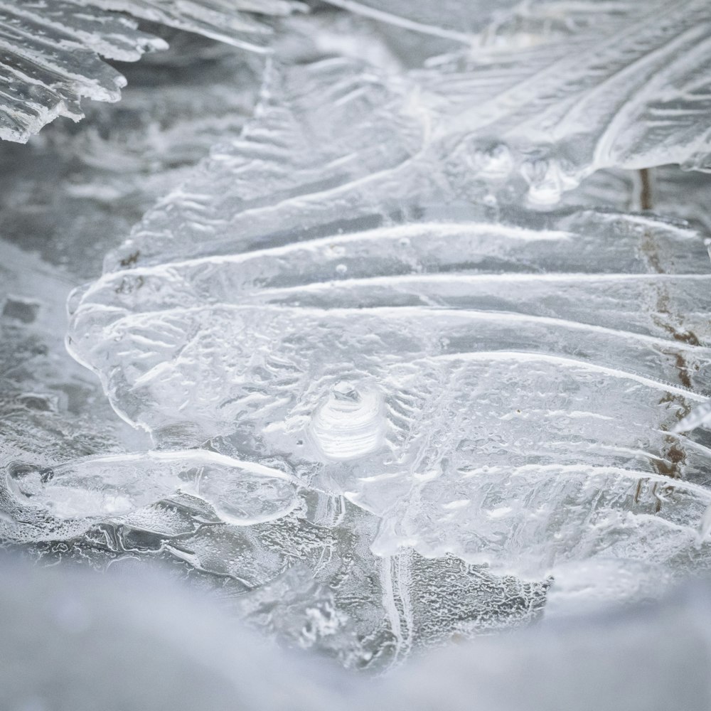 a close up of ice and water on a surface