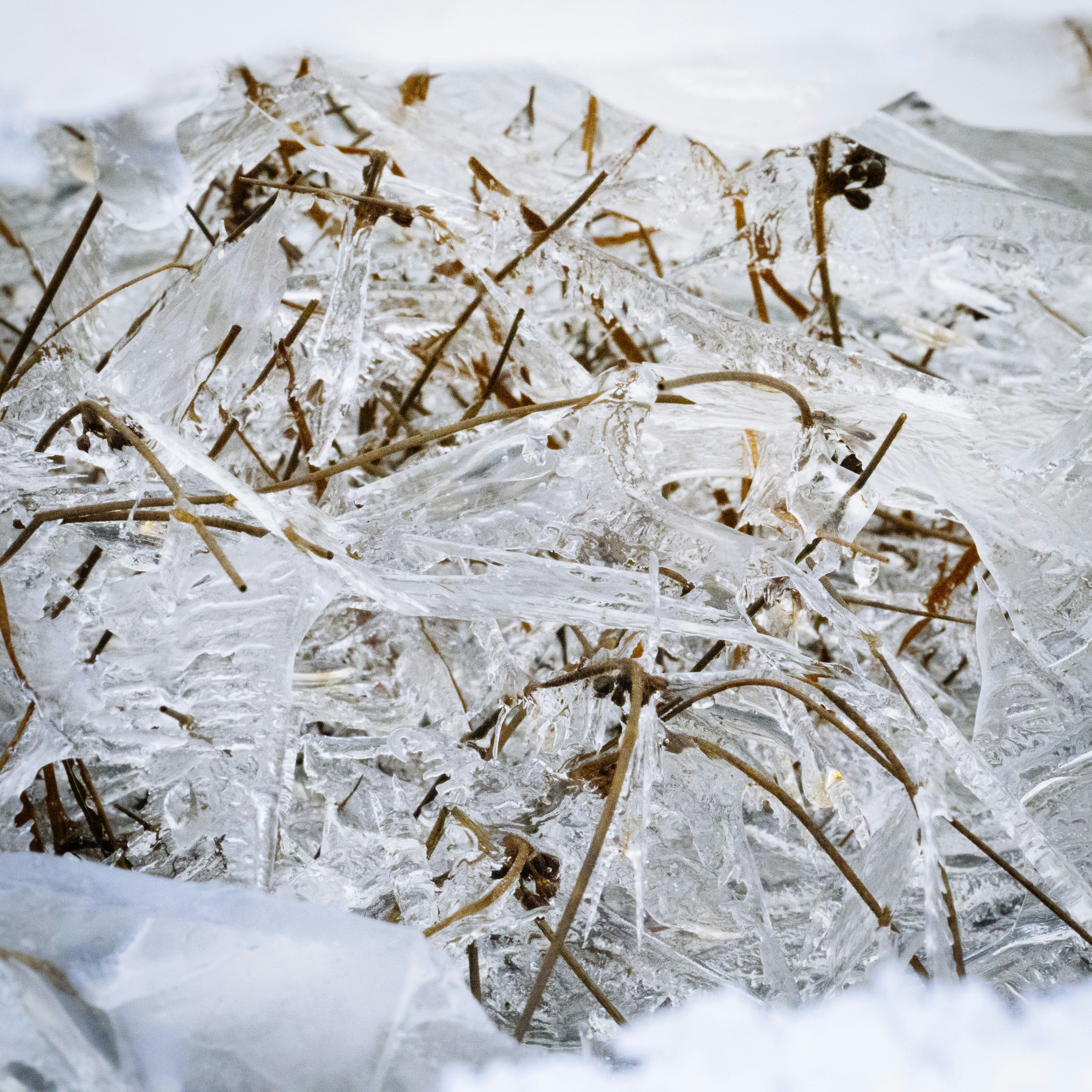 a bunch of ice that is sitting in the snow
