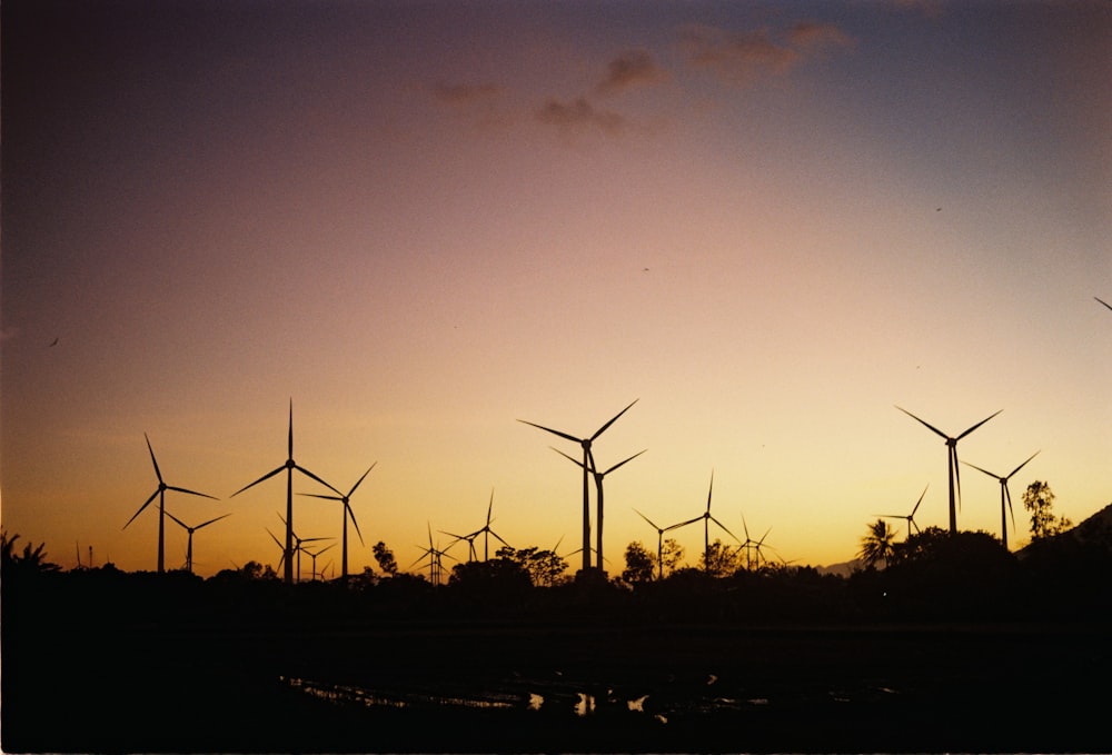 a group of windmills are silhouetted against a sunset