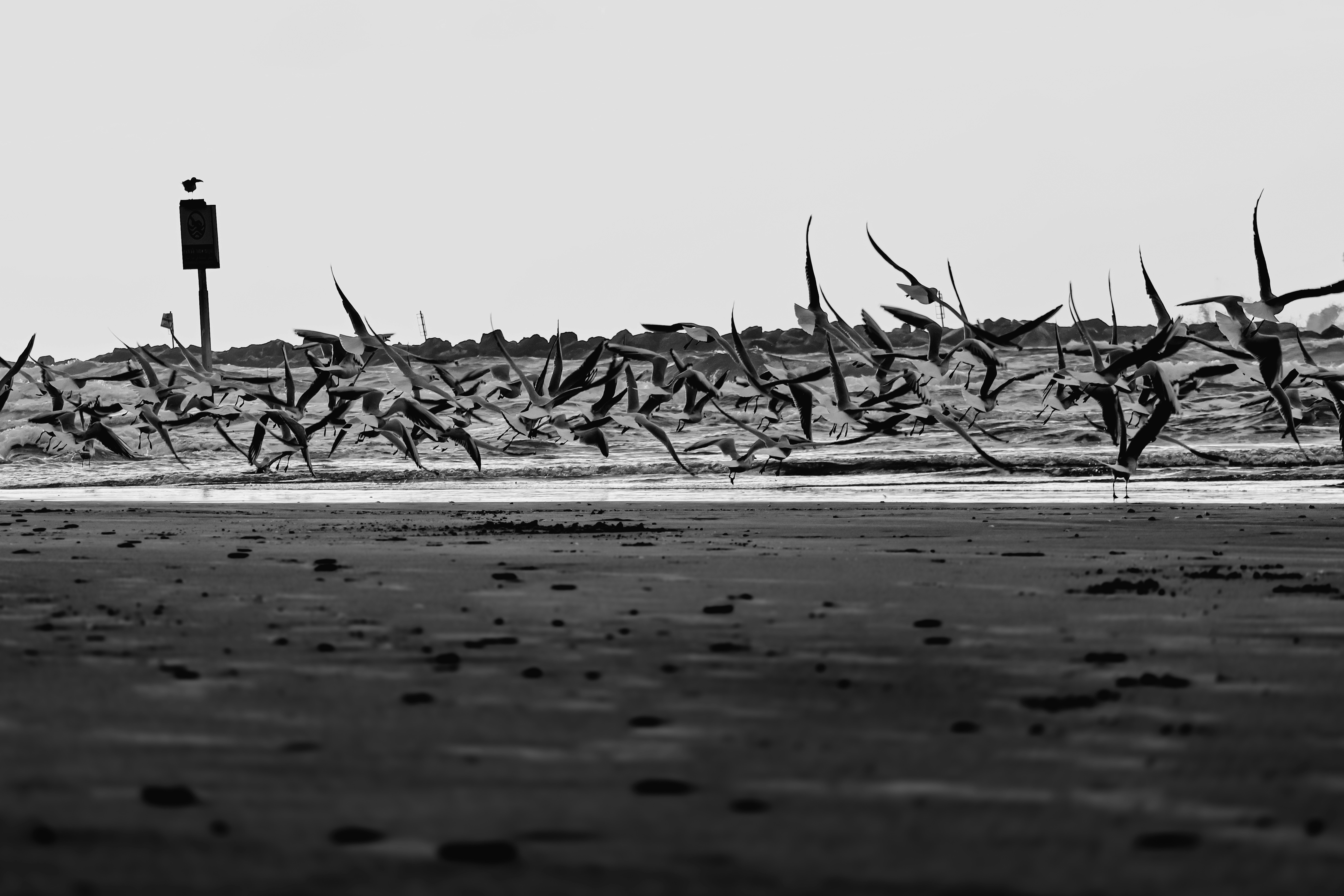 Photo by zymot