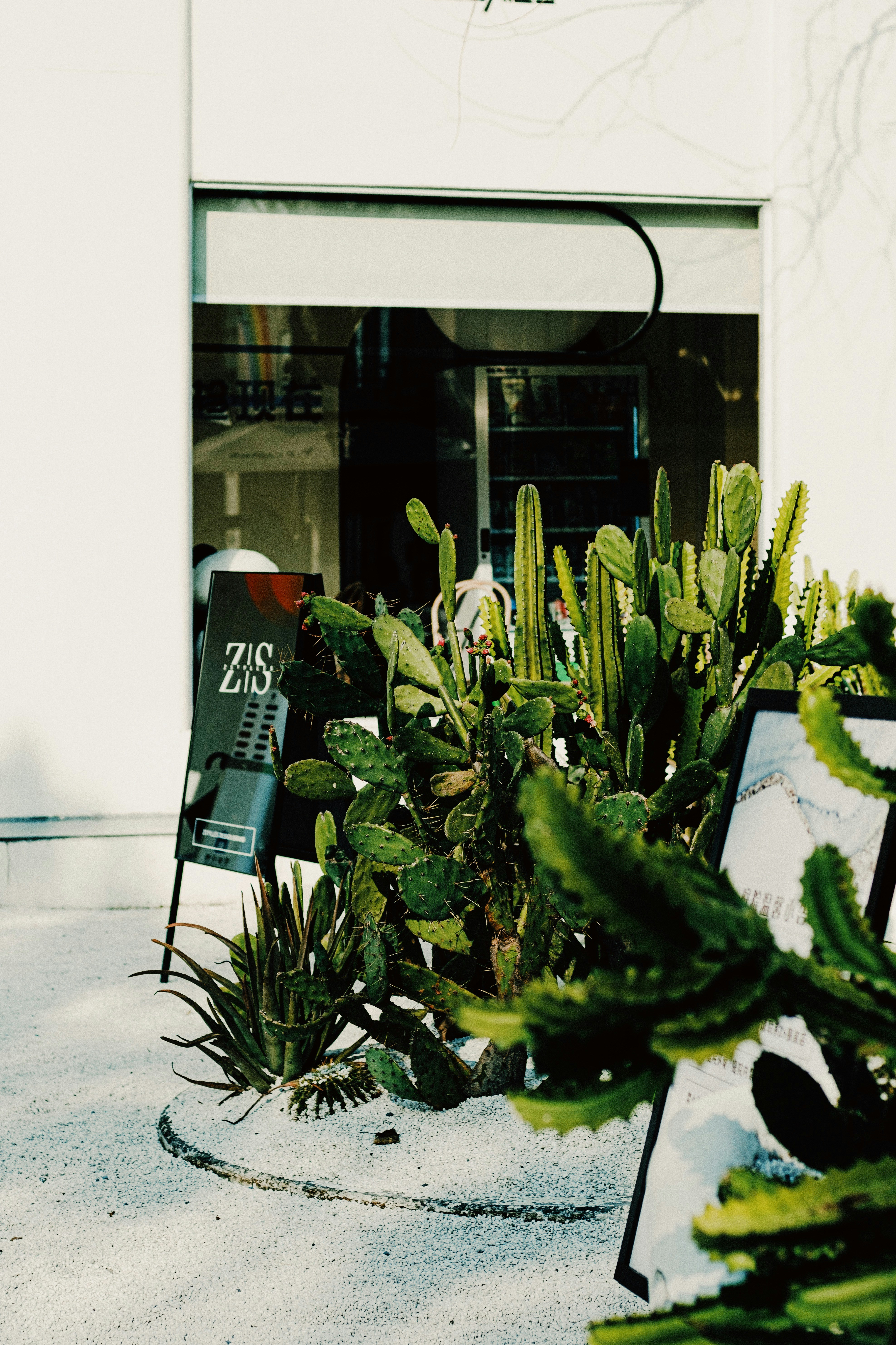 Photo by xiexianghua