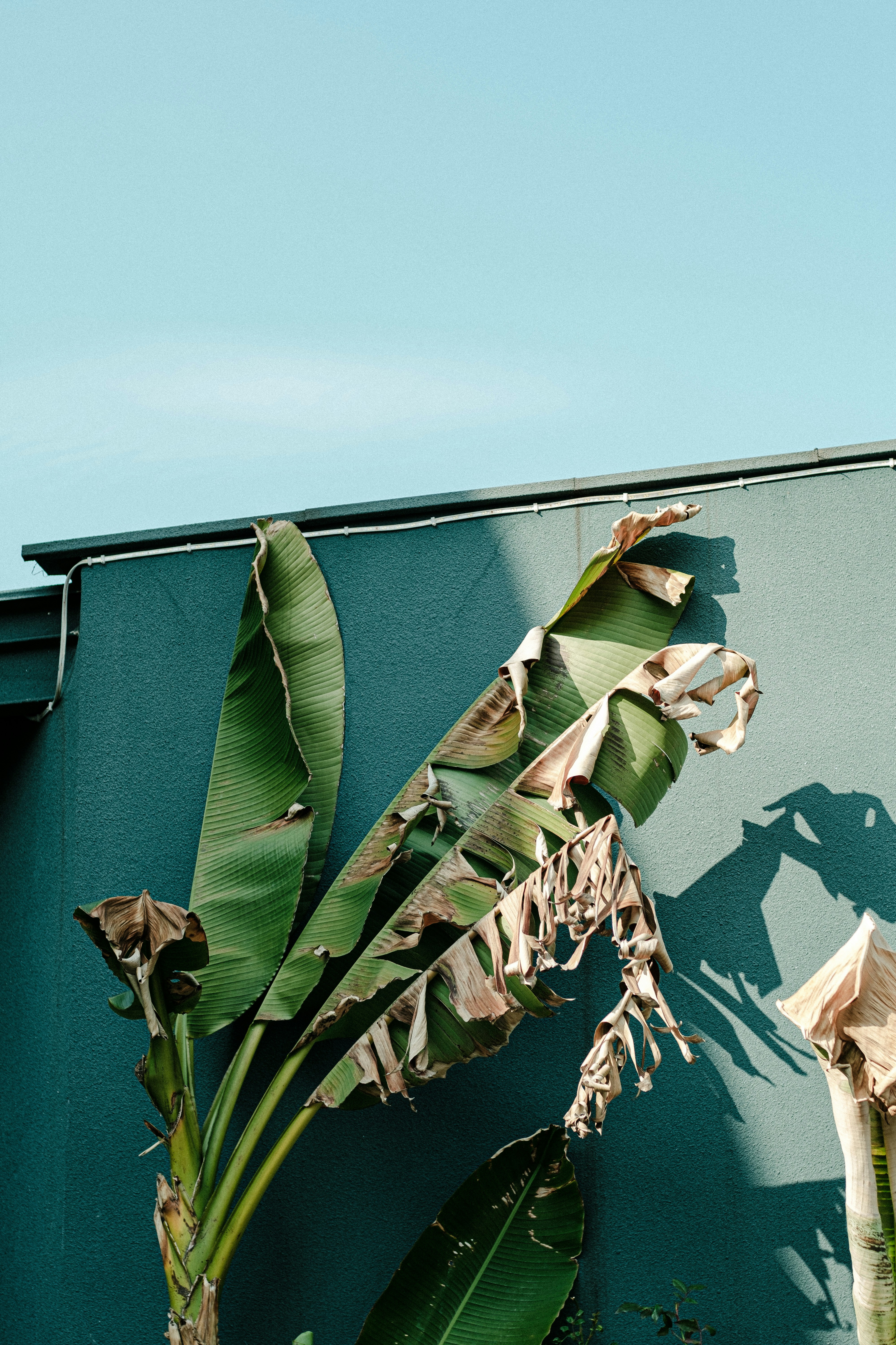 Photo by xiexianghua