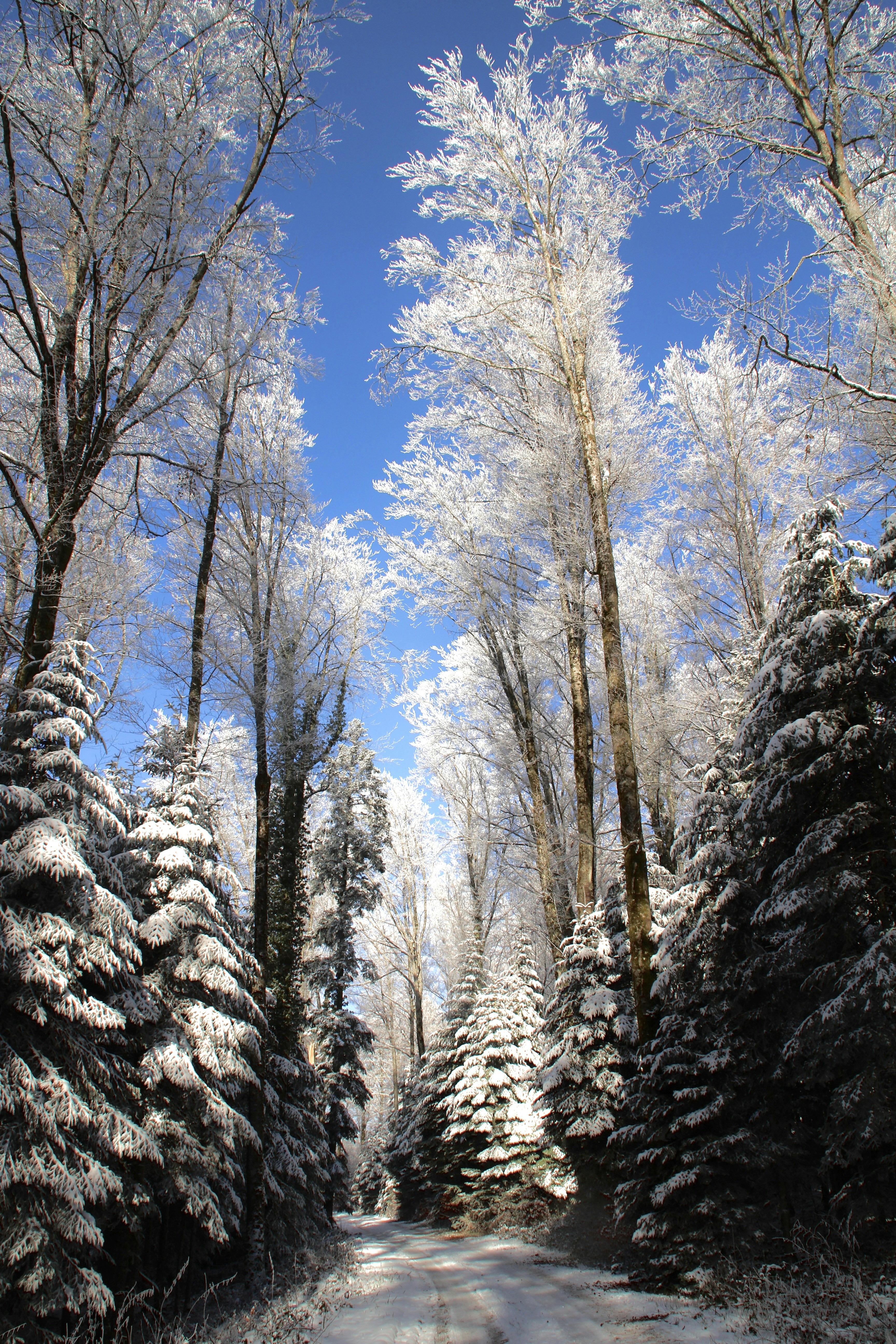 Photo by kim_riverskirby