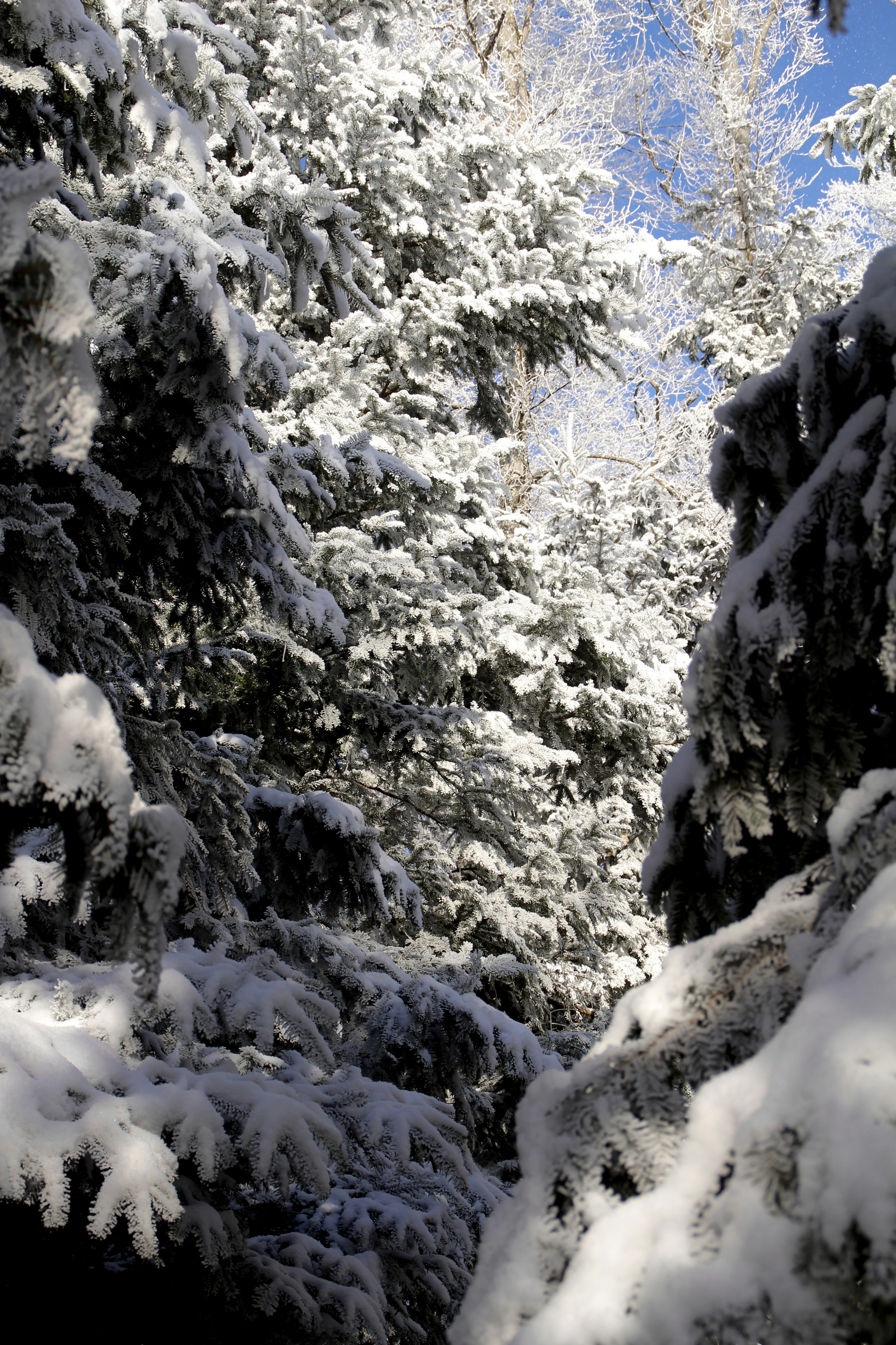 Photo by kim_riverskirby