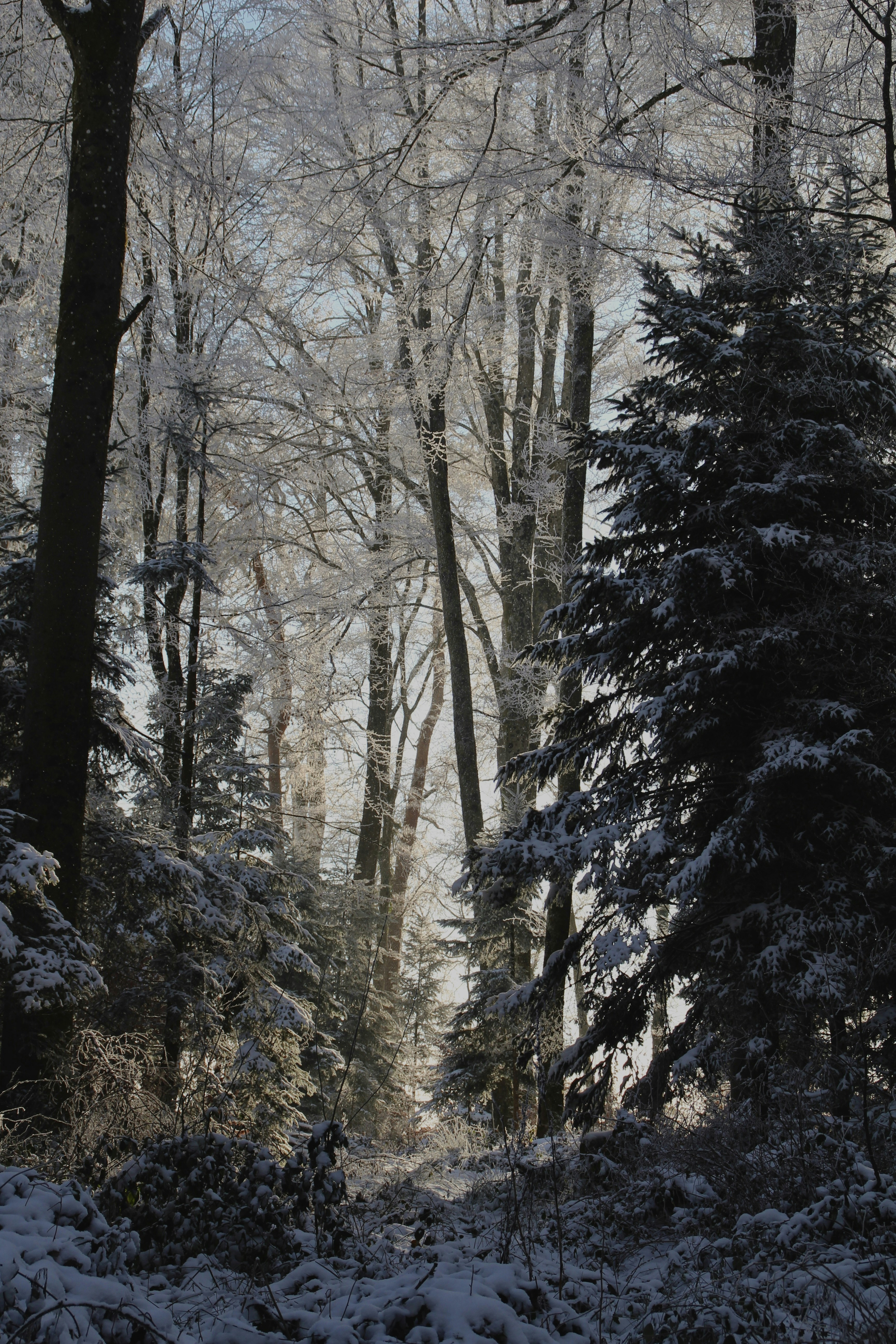 Photo by kim_riverskirby