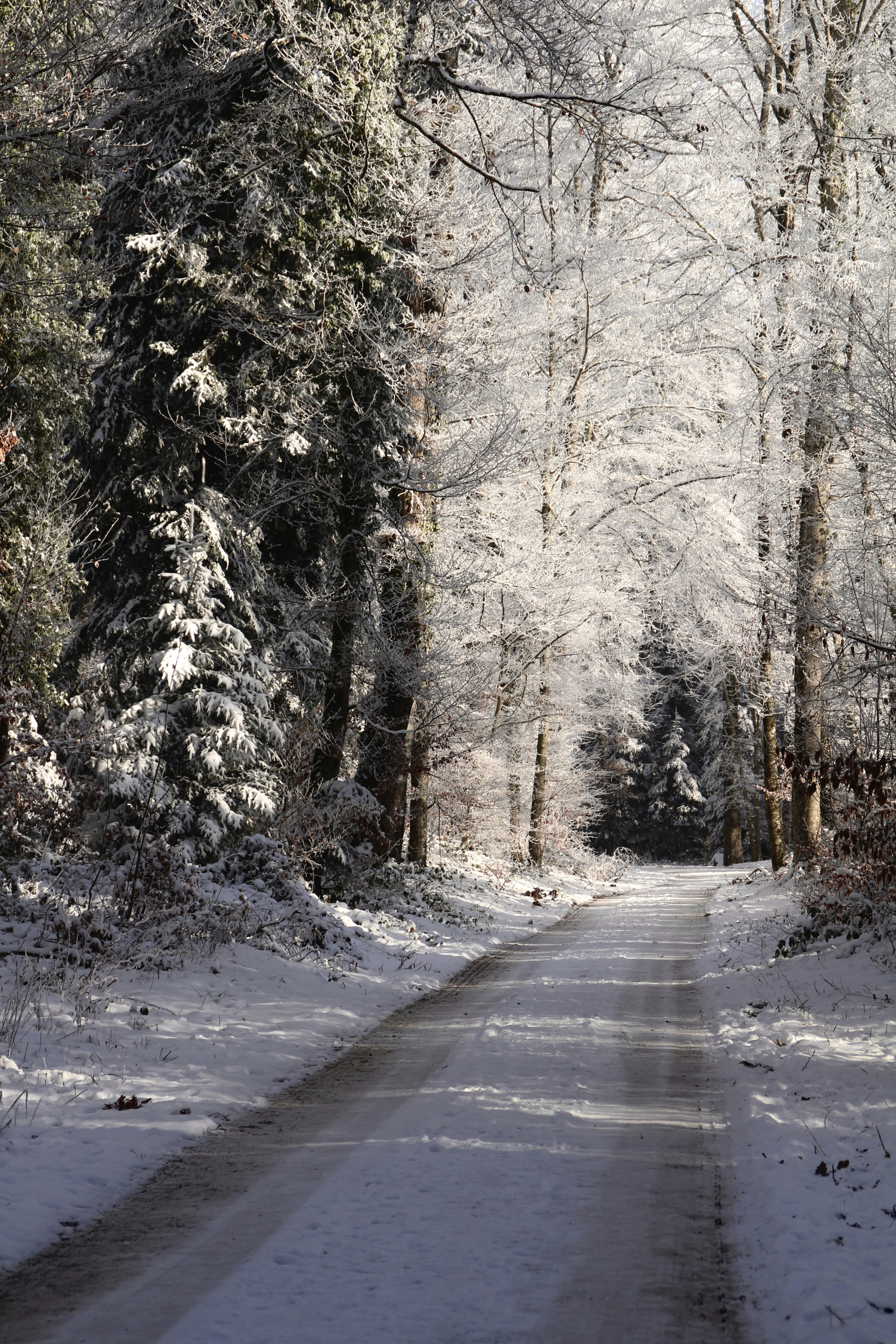 Photo by kim_riverskirby