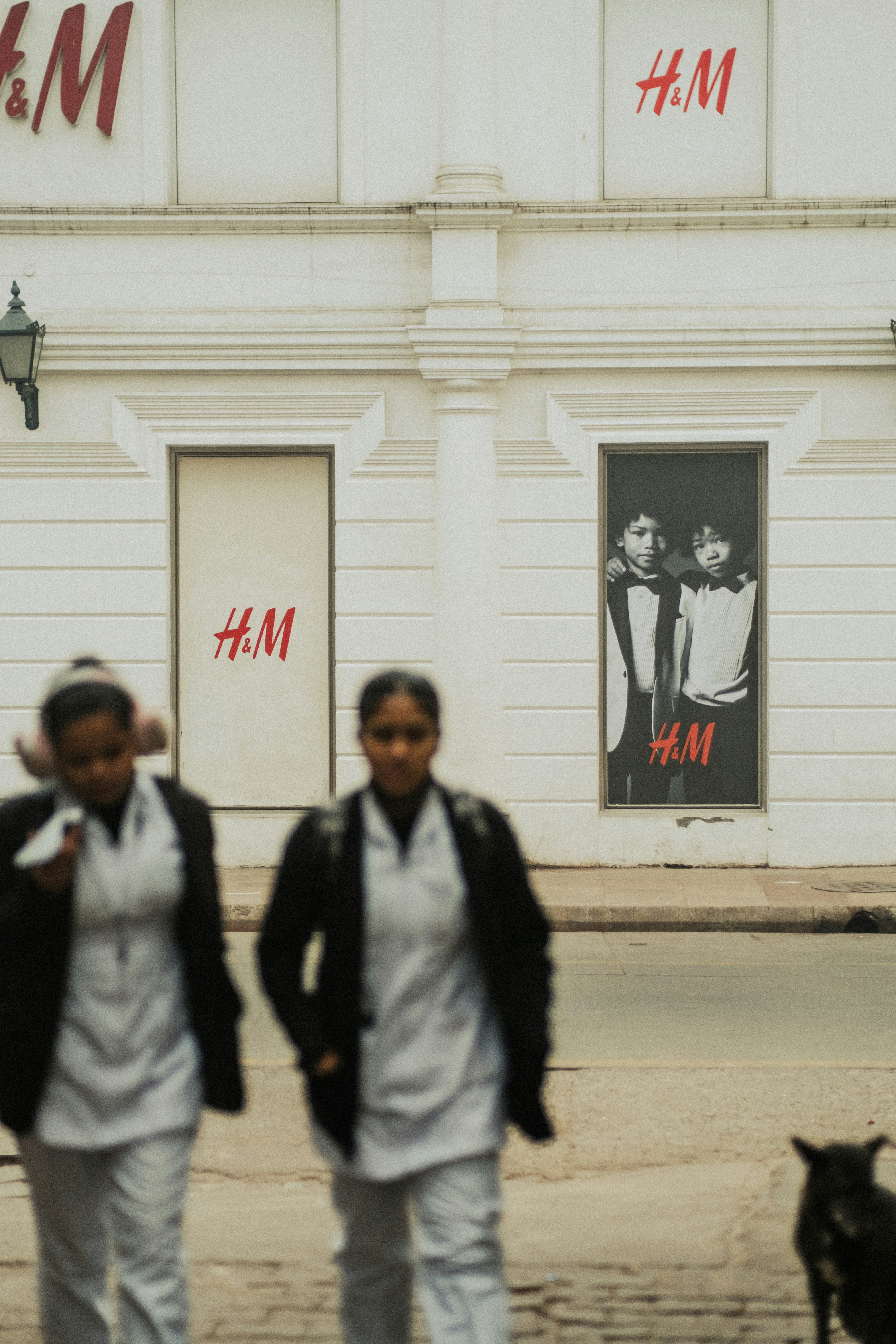 犬の横を歩く女性カップル