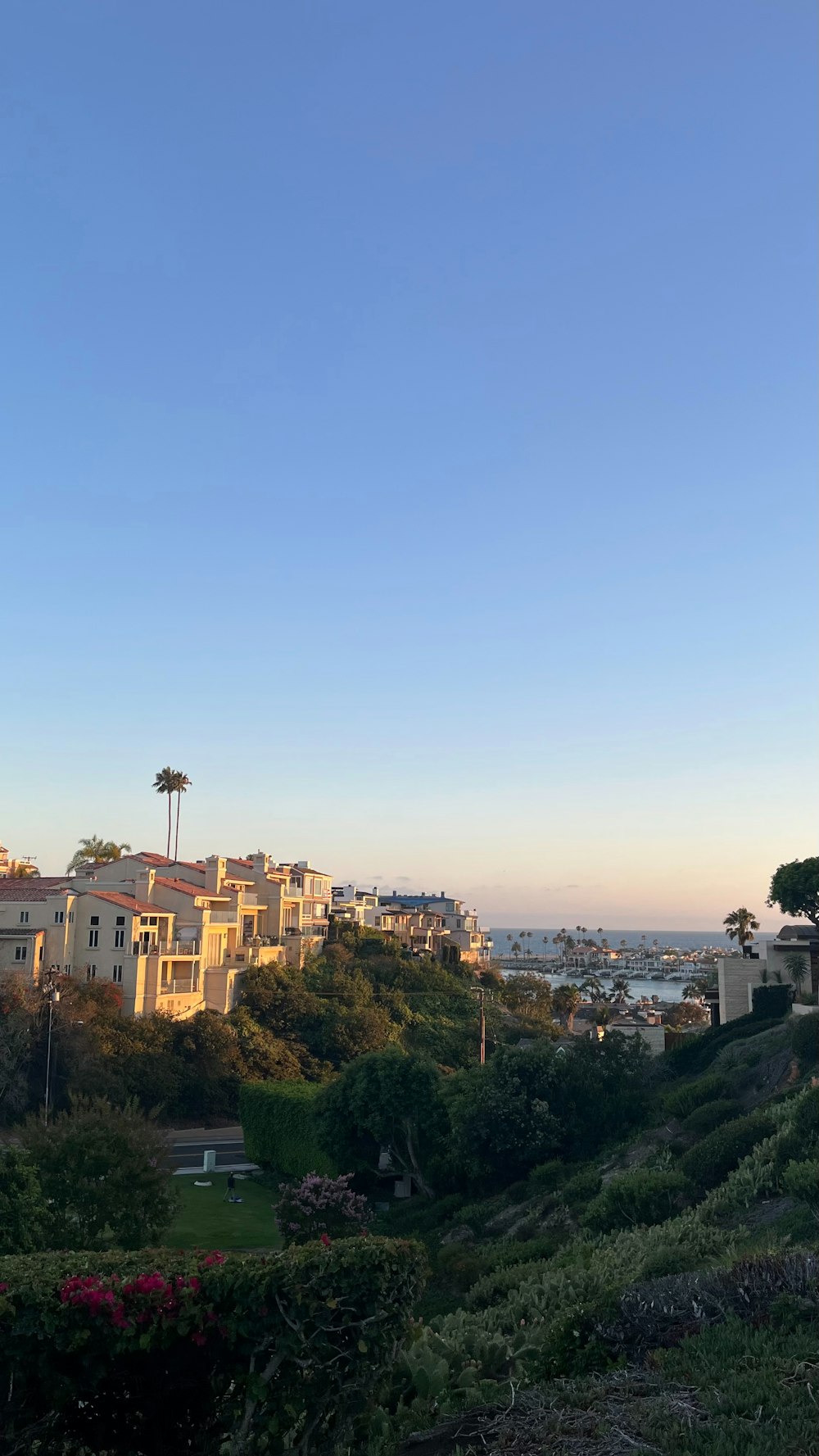 Una vista del océano desde una colina