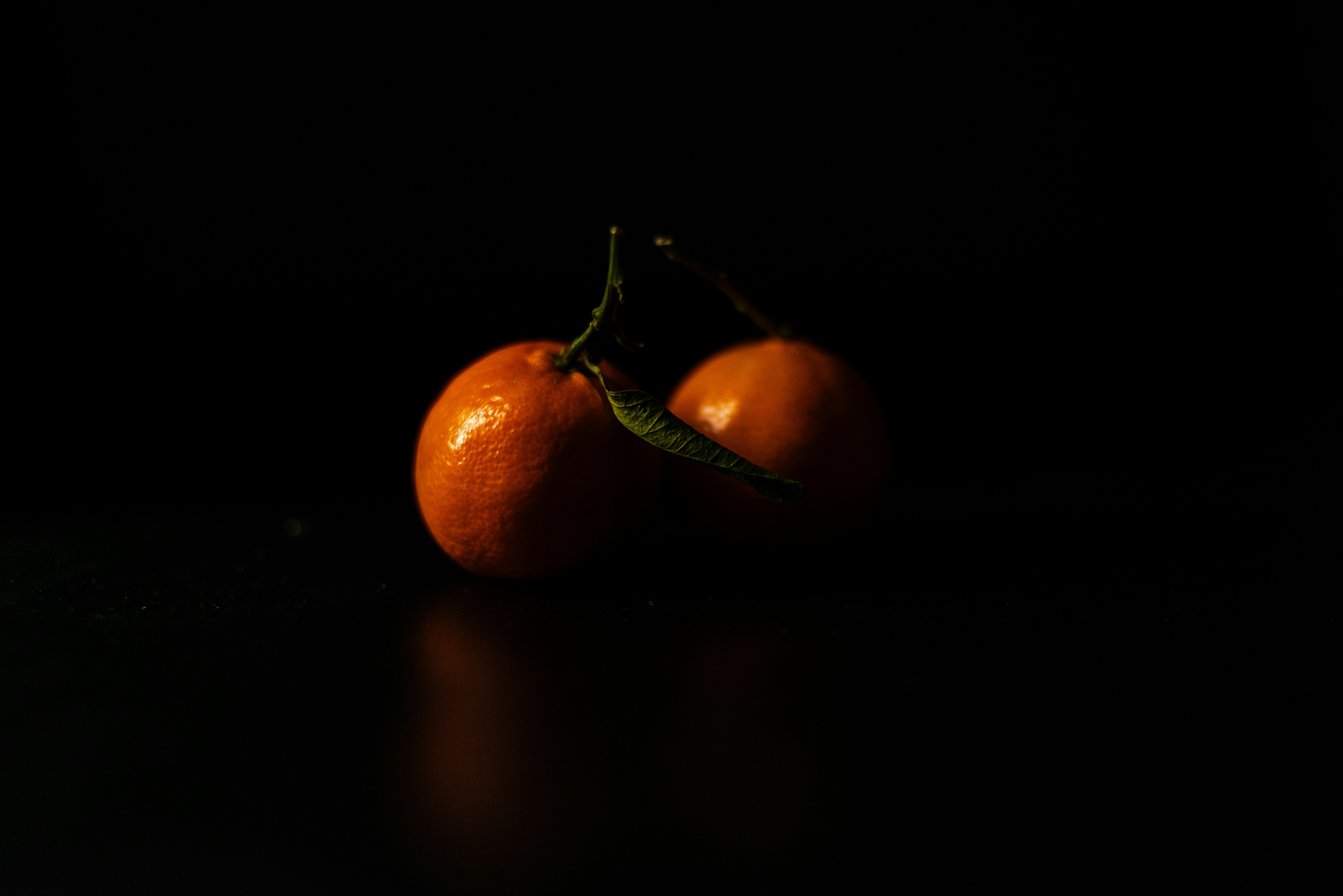 Photo by serhiikalyn