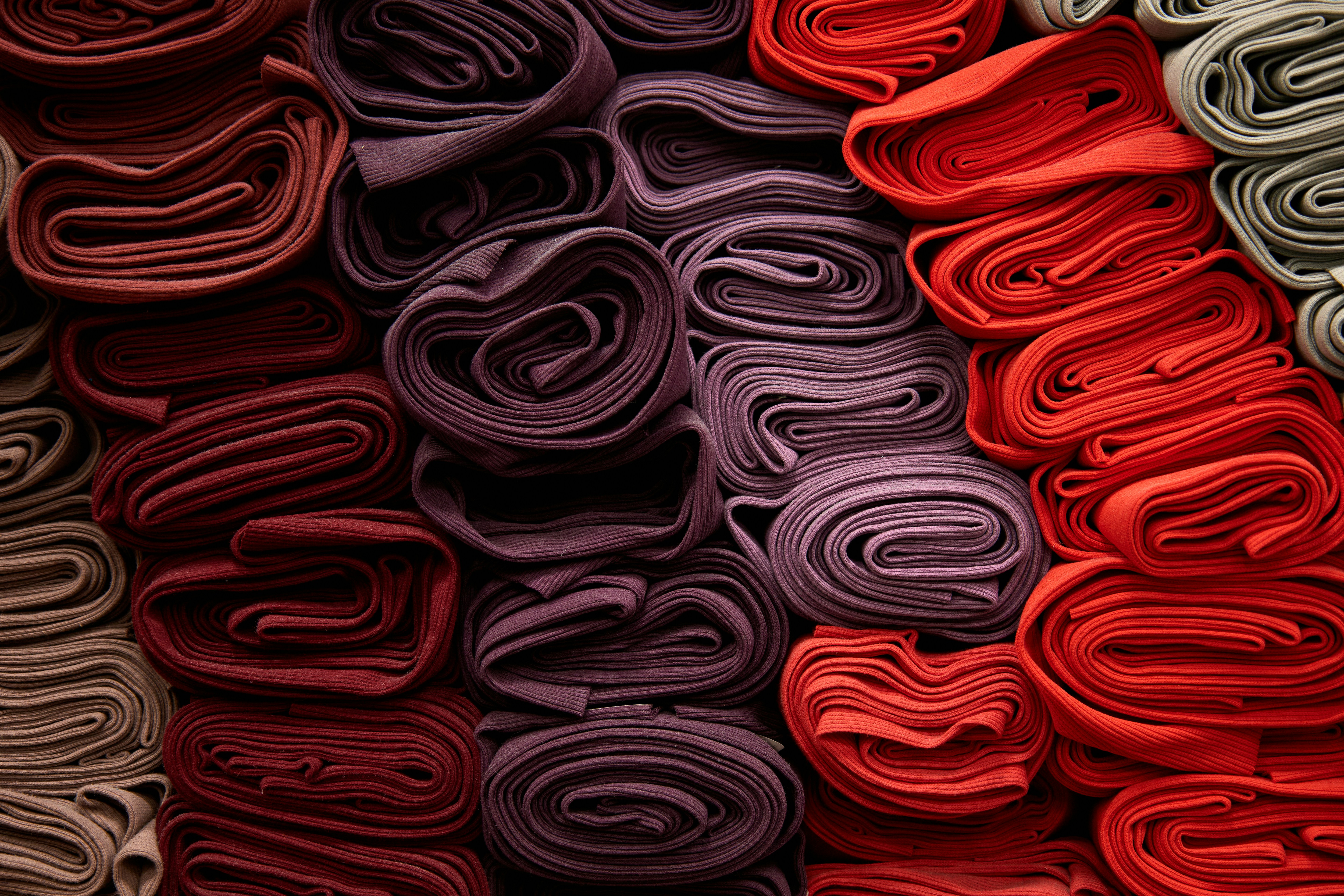 Photo by lensyfoxography