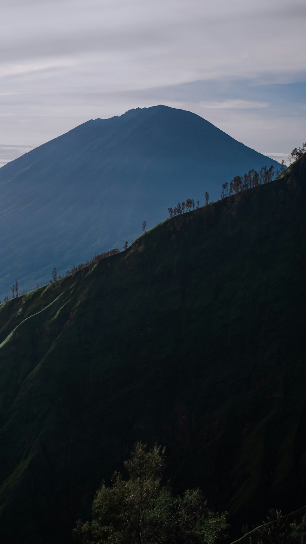 a view of a mountain with trees on the side of it