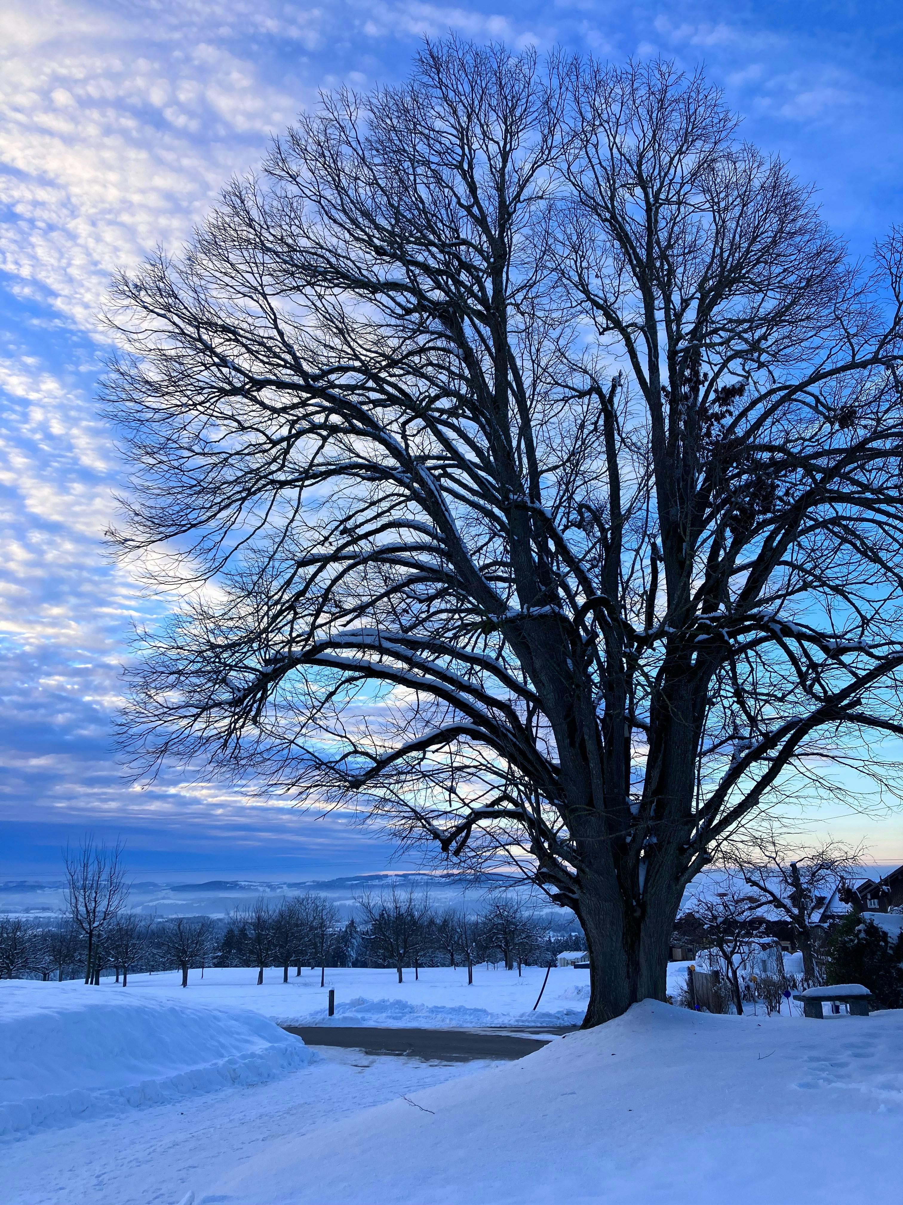 Photo by retokaltbrunner