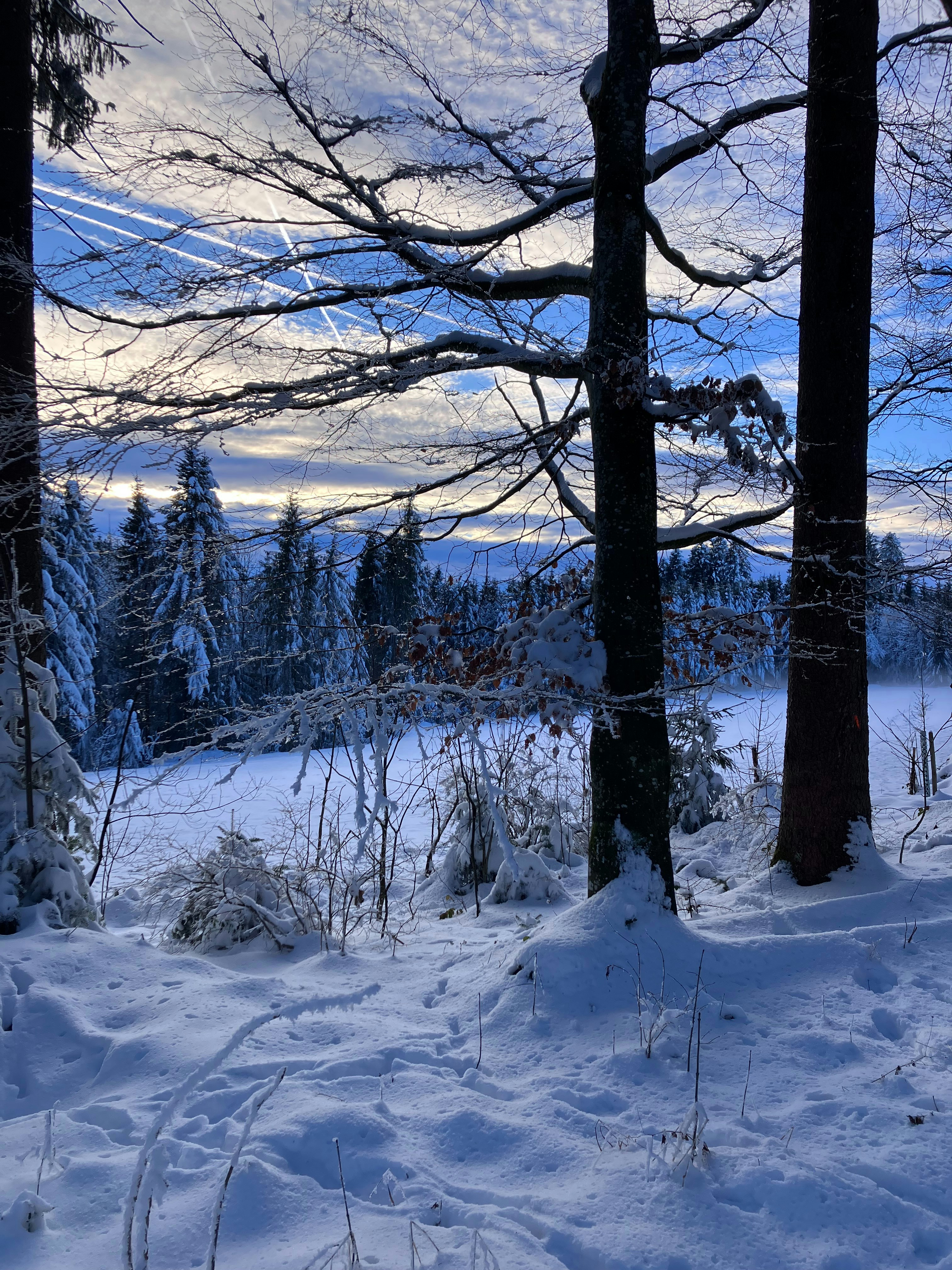 Photo by retokaltbrunner