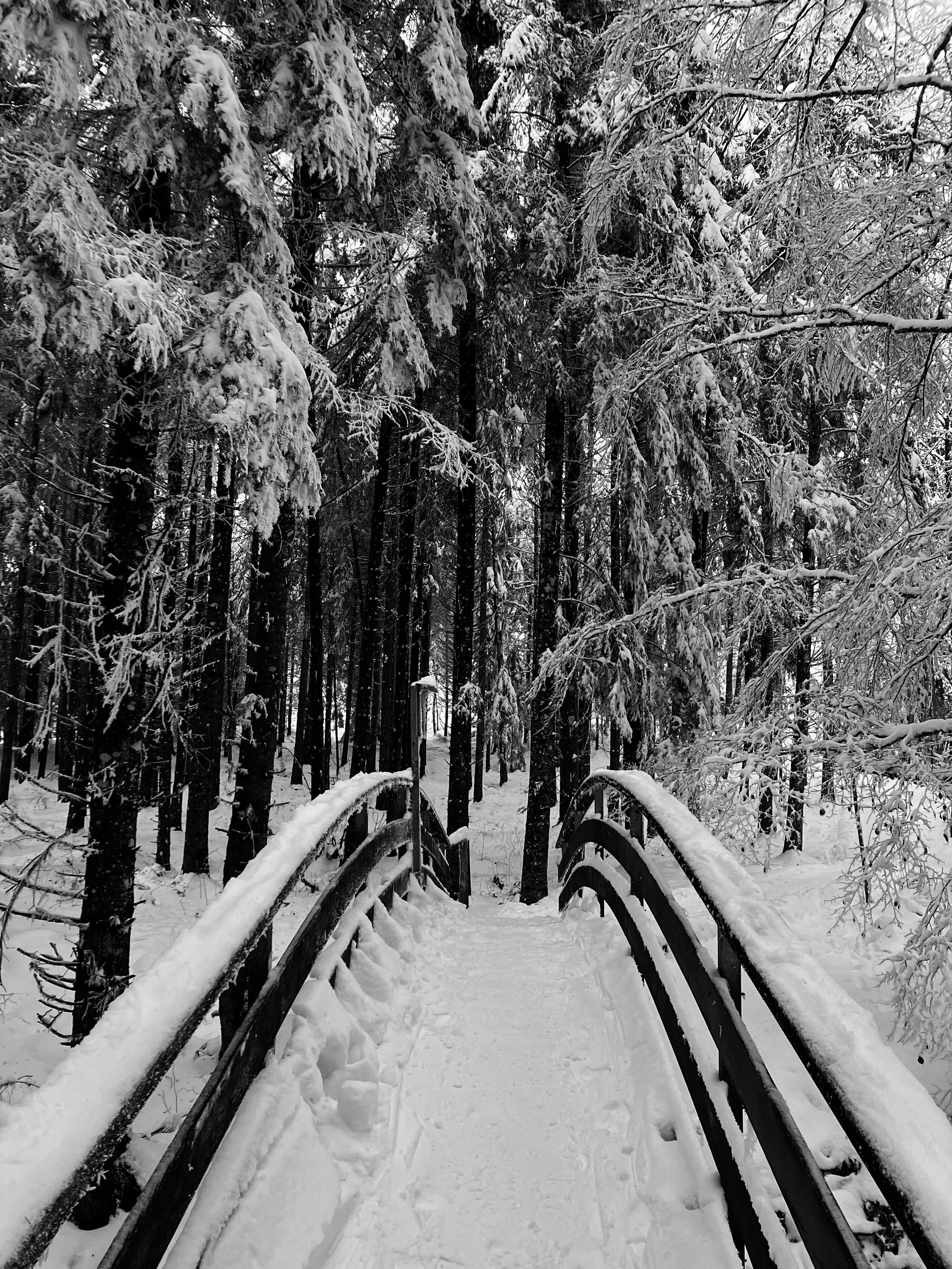 Photo by retokaltbrunner