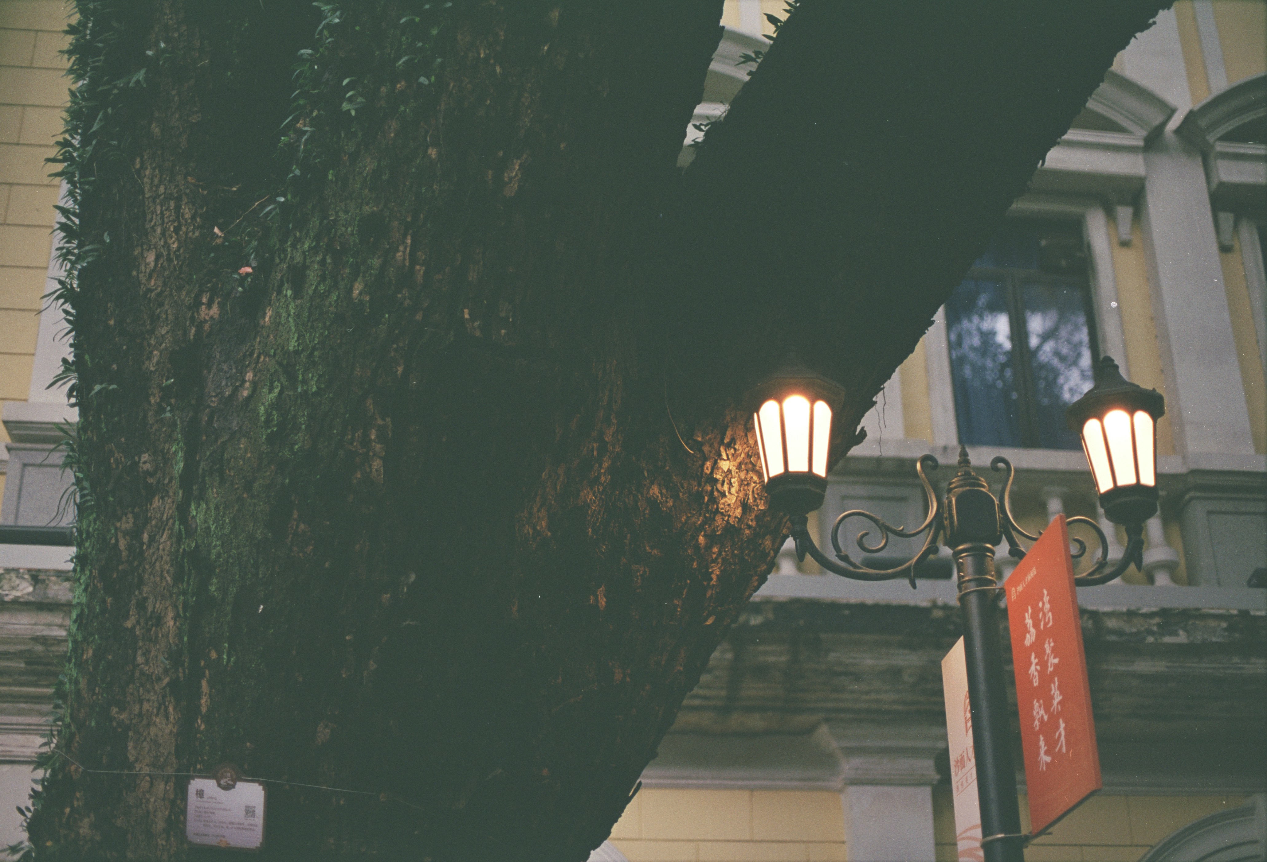 Photo by lamsong4141