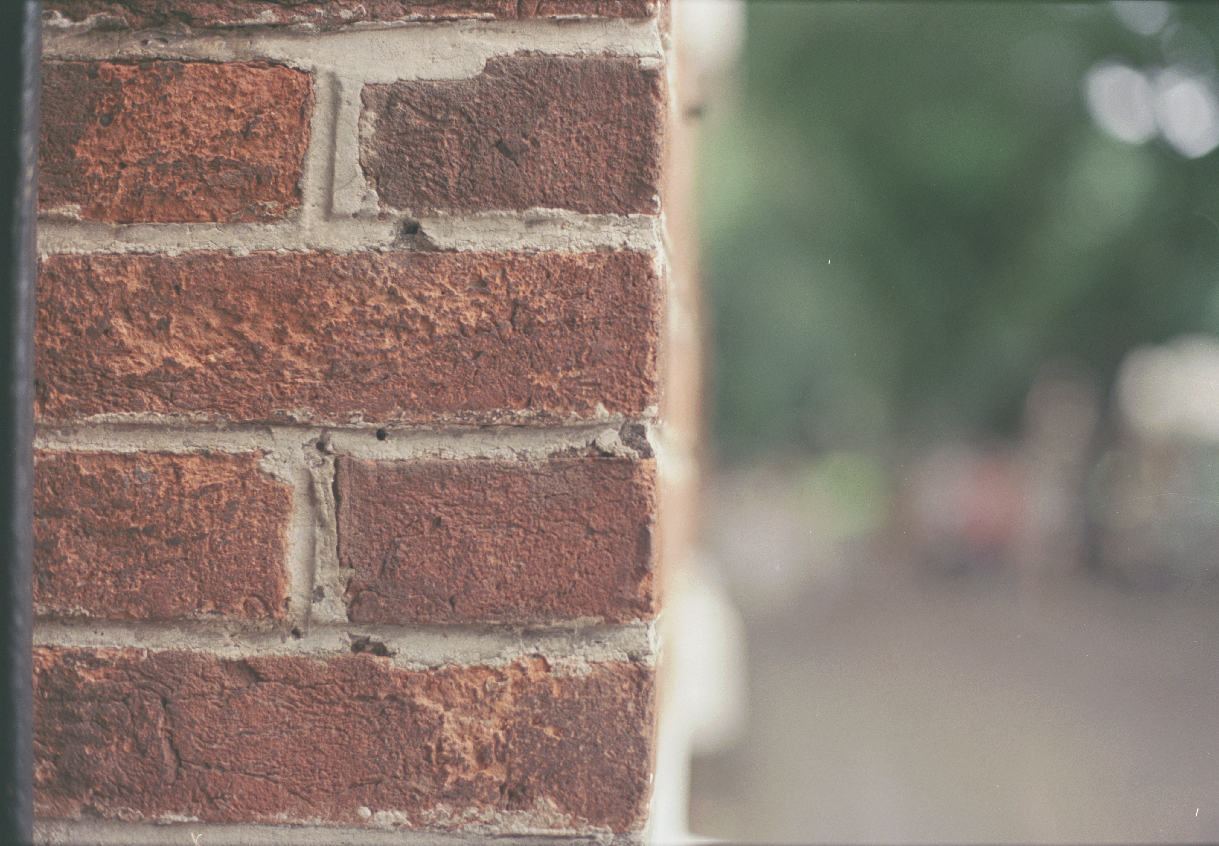 Photo by lamsong4141