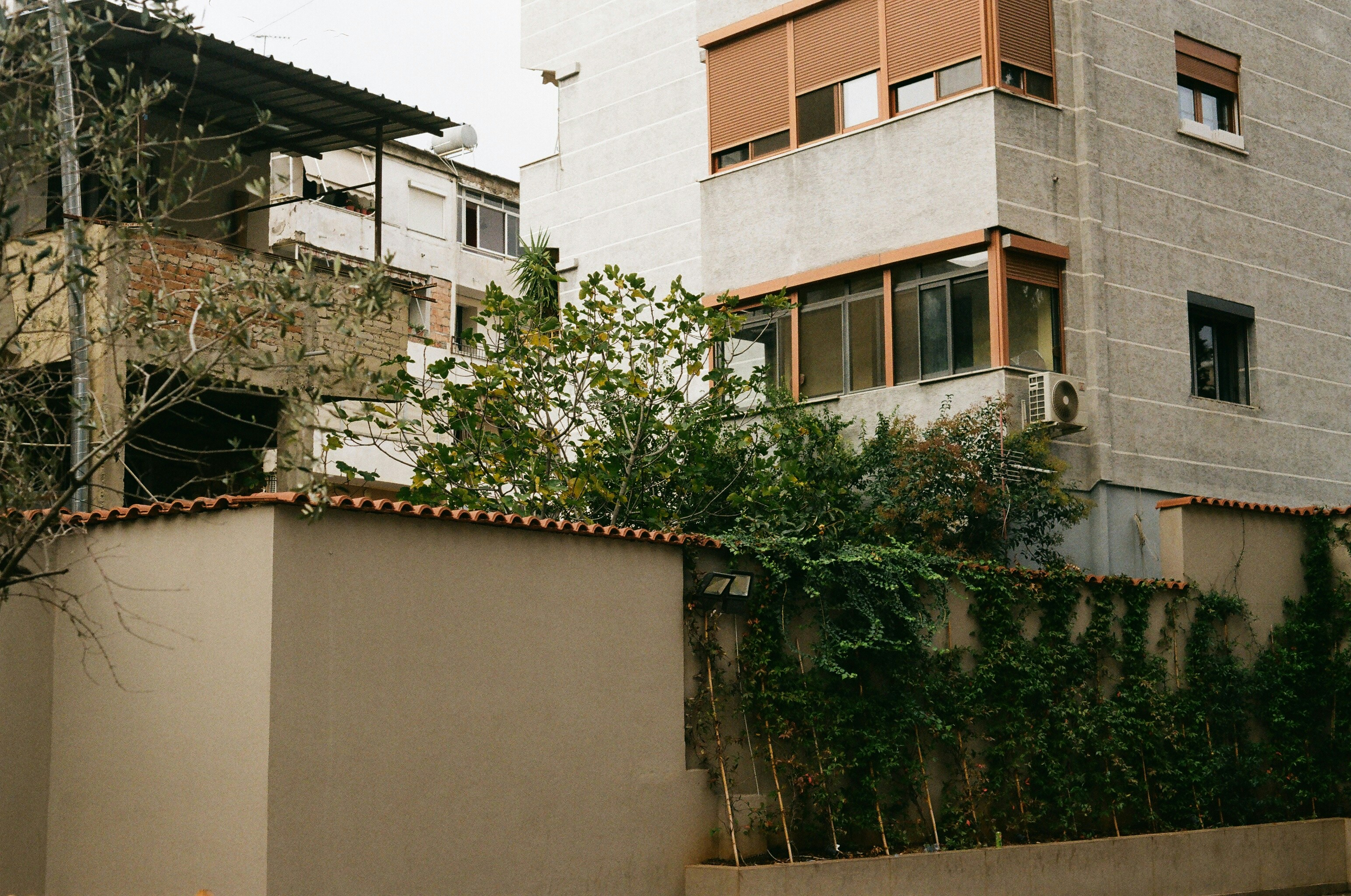 Photo by thesilvafocus