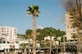 a group of people sitting on a bench next to a palm tree