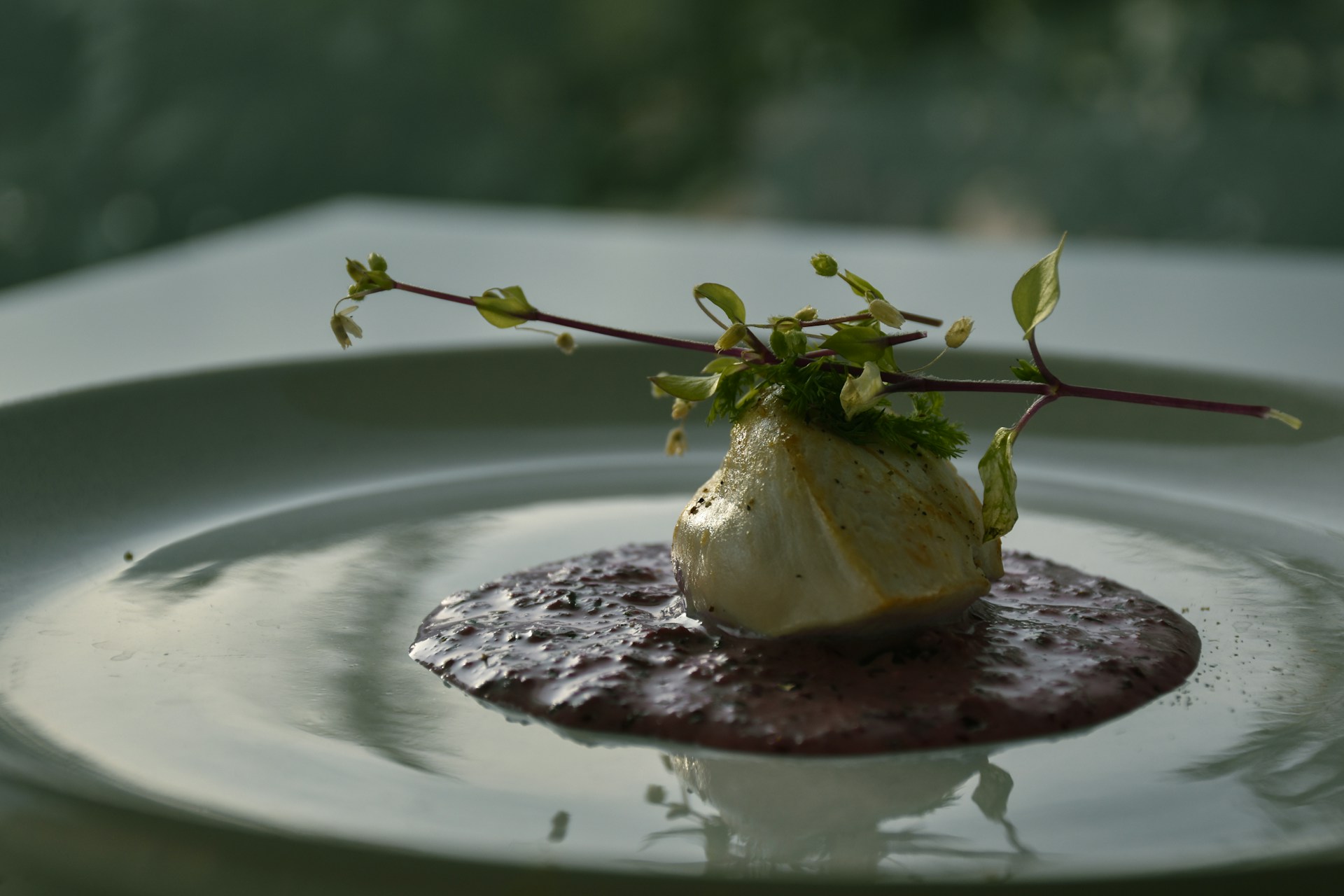 a white plate topped with a piece of food