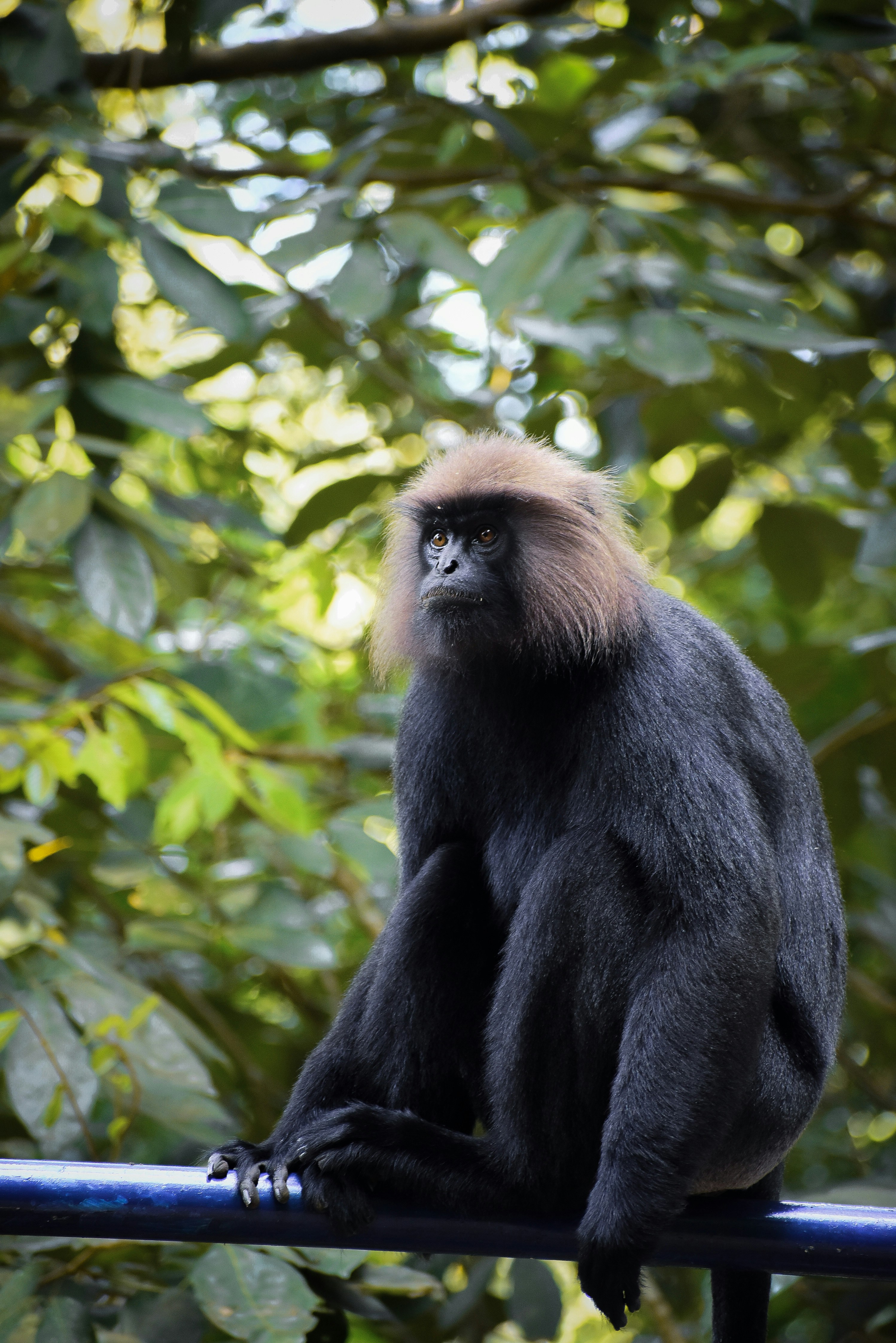 Photo by hacker_camerwork