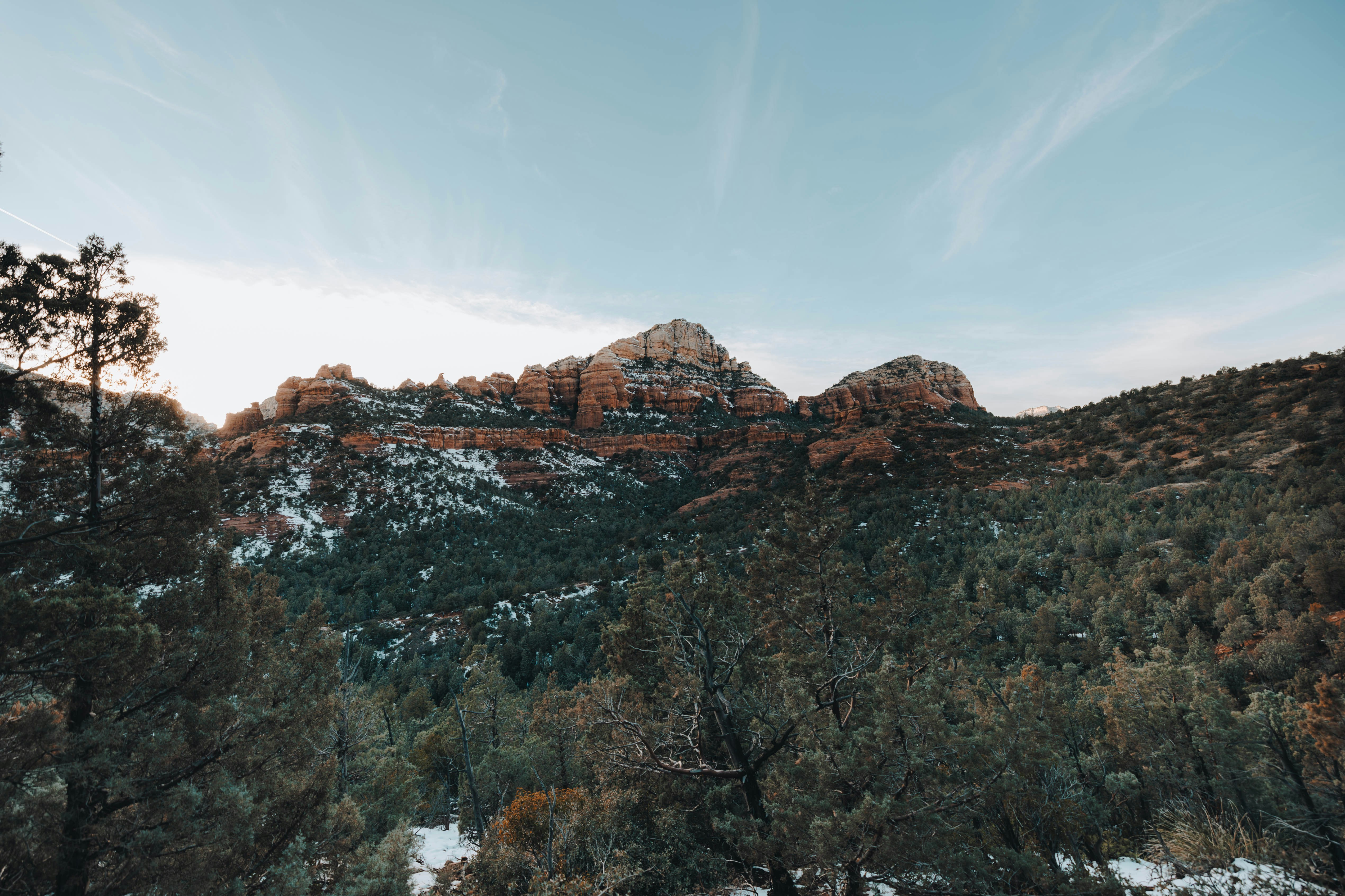 Photo by jeffersonsees