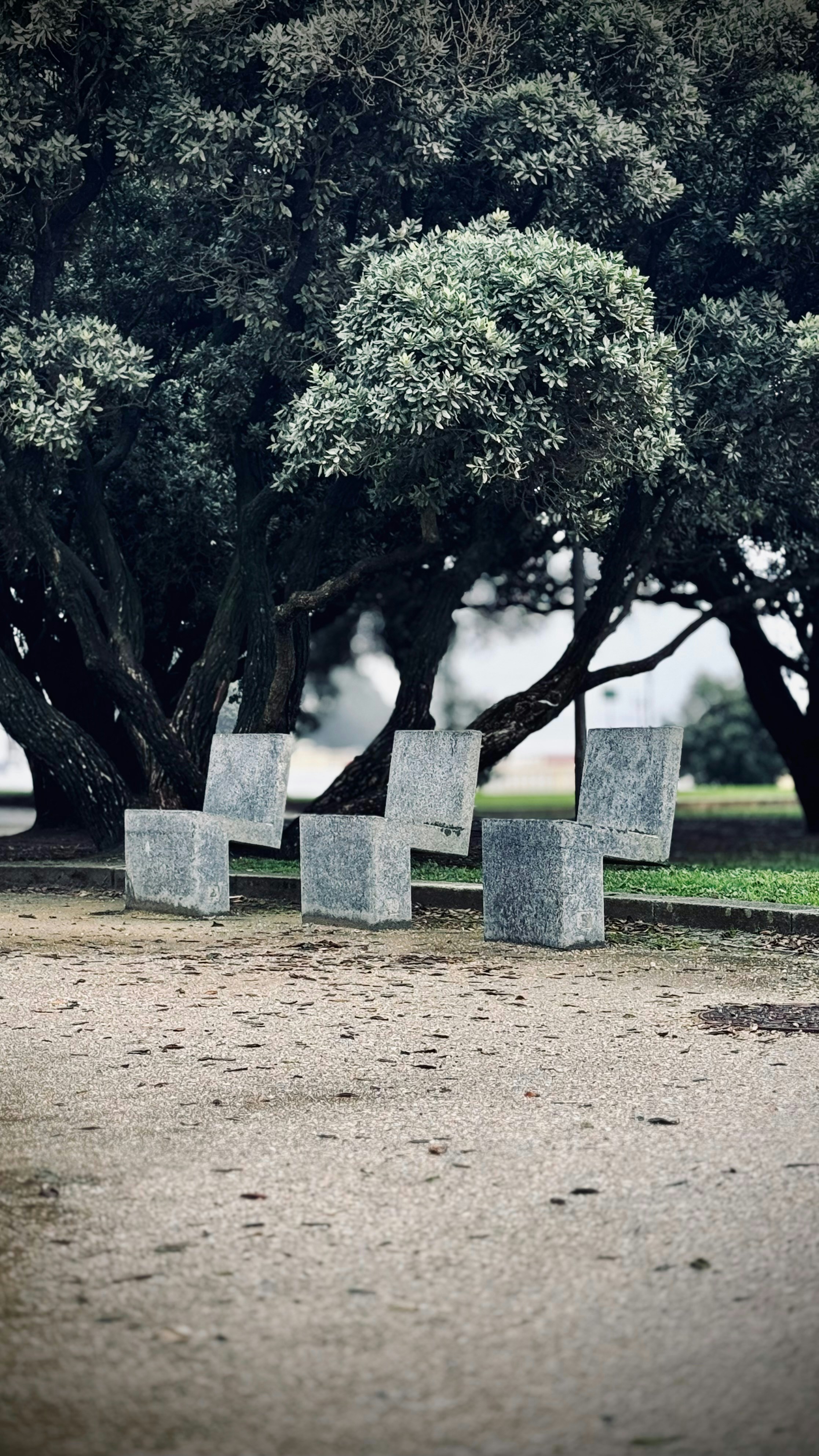 Photo by no_second_best