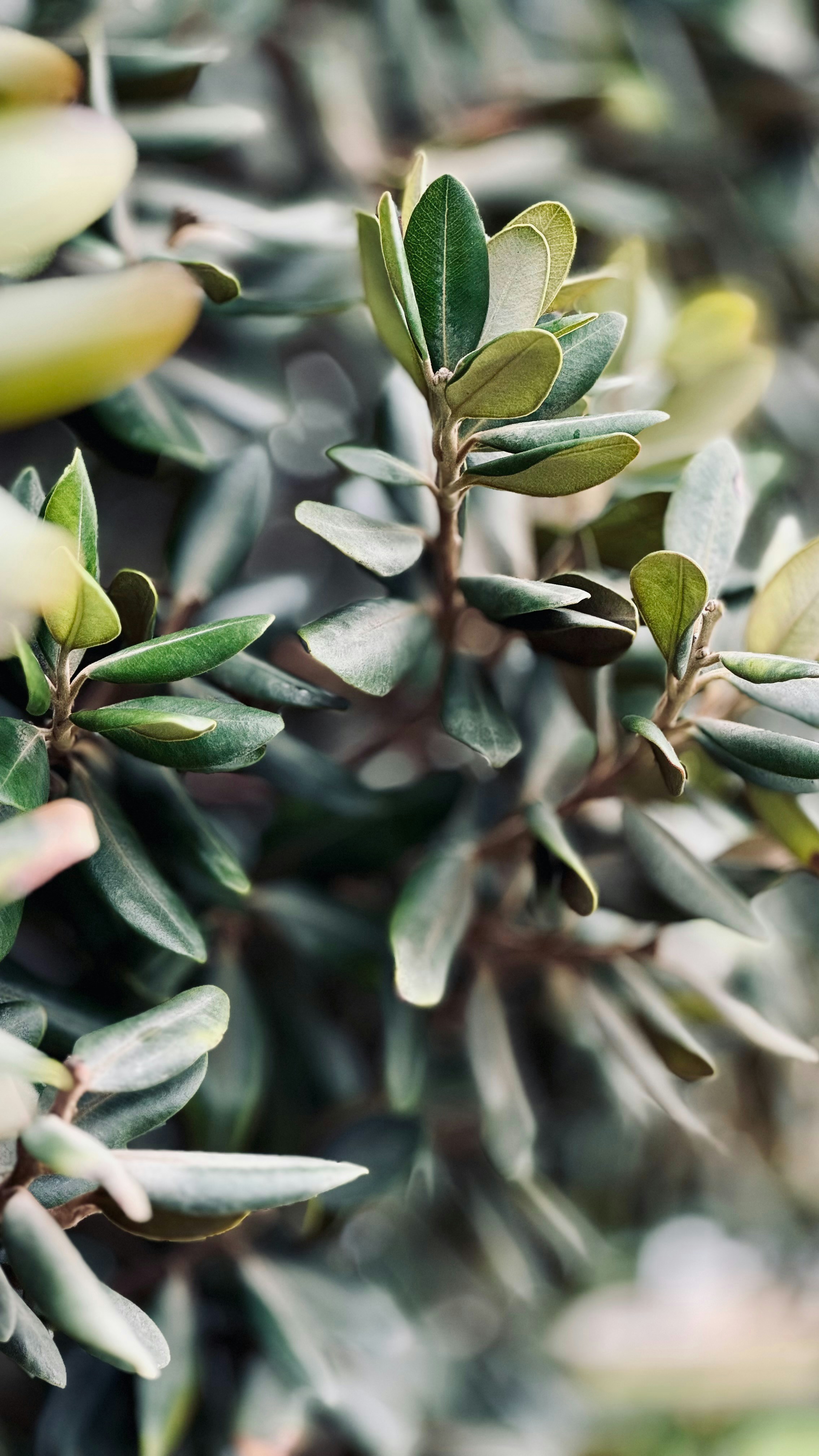 Photo by no_second_best