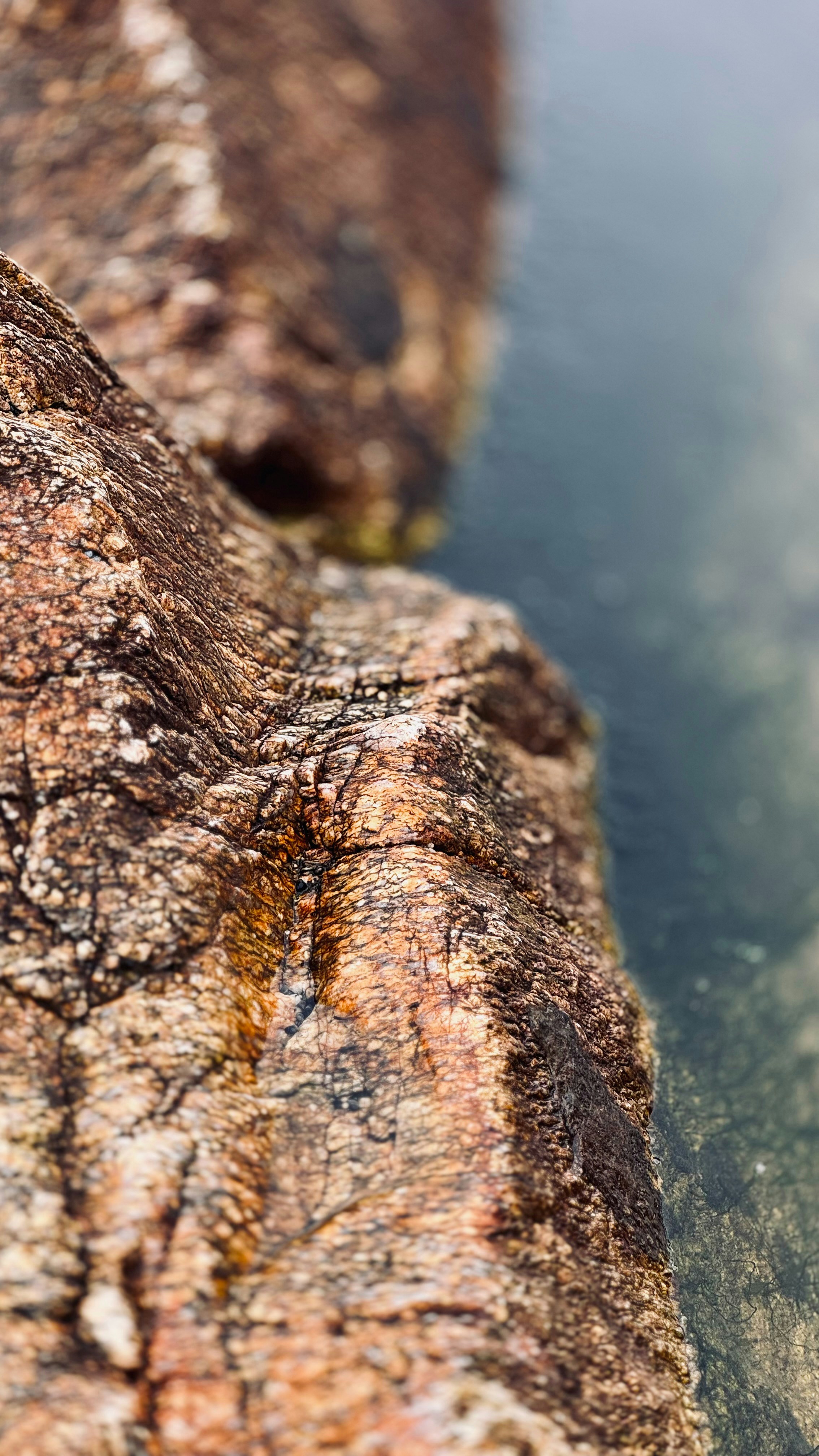 Photo by no_second_best