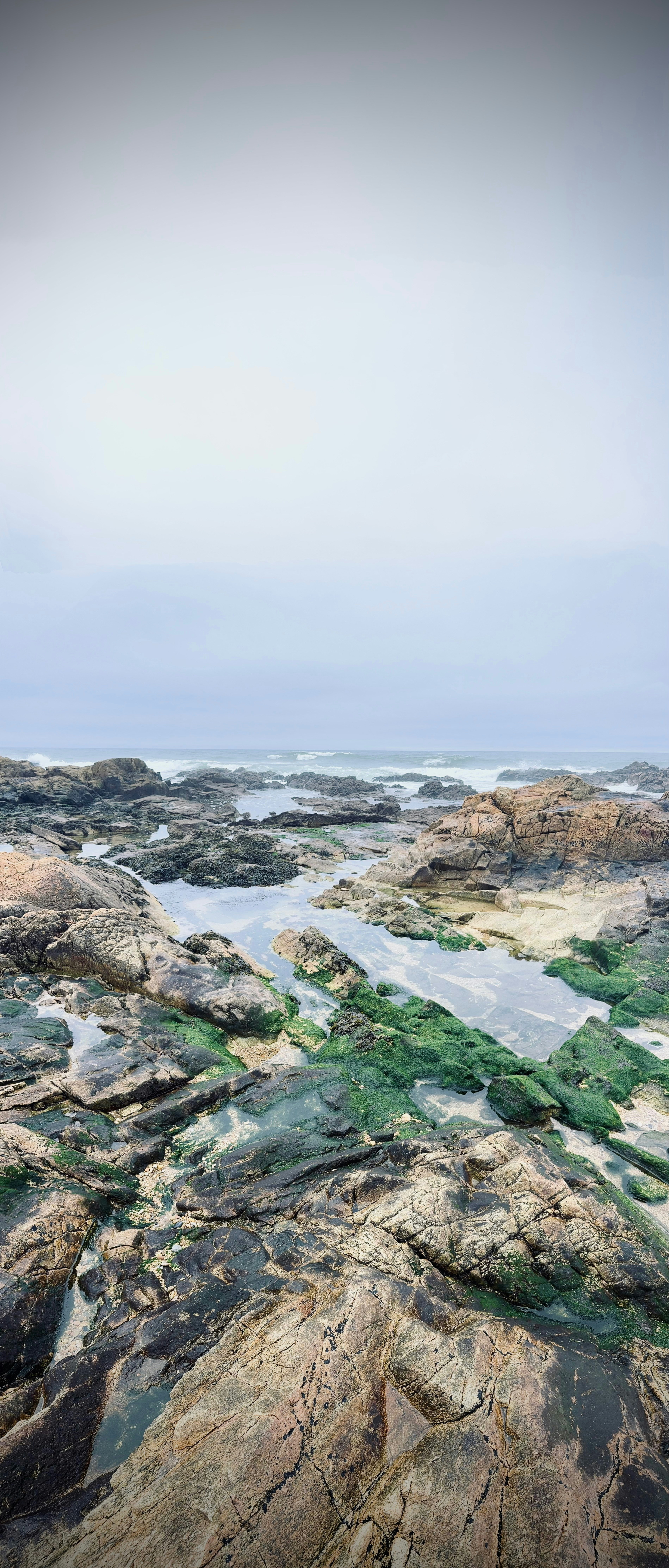 Photo by no_second_best