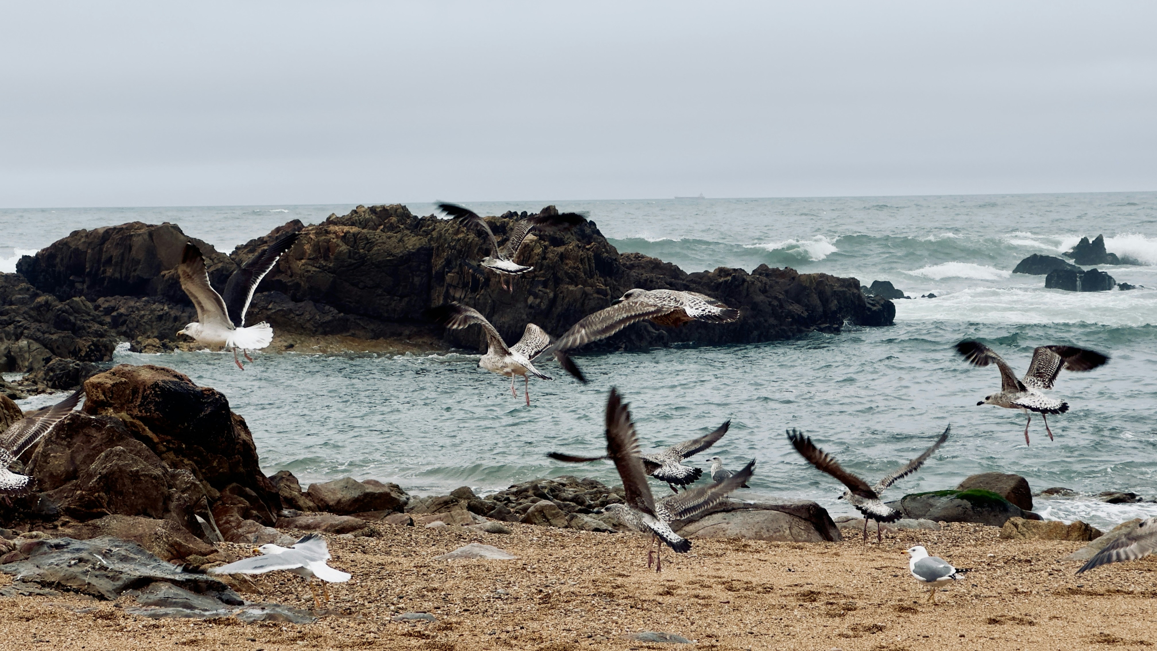 Photo by no_second_best