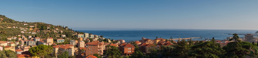 a scenic view of a city with a mountain in the background