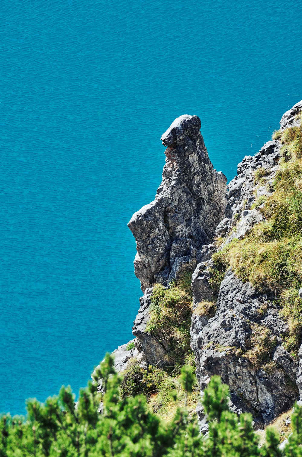 an animal standing on top of a rocky cliff next to a body of water