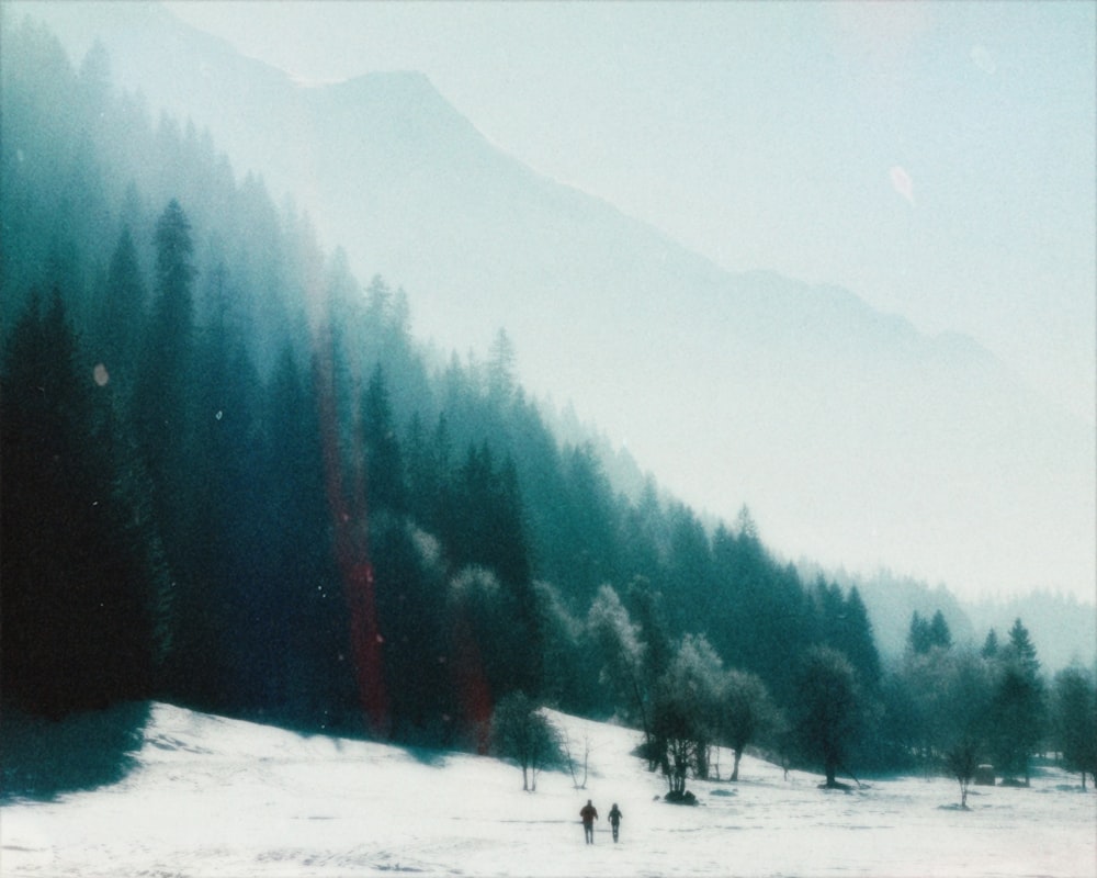 Eine Gruppe von Menschen, die über ein schneebedecktes Feld gehen