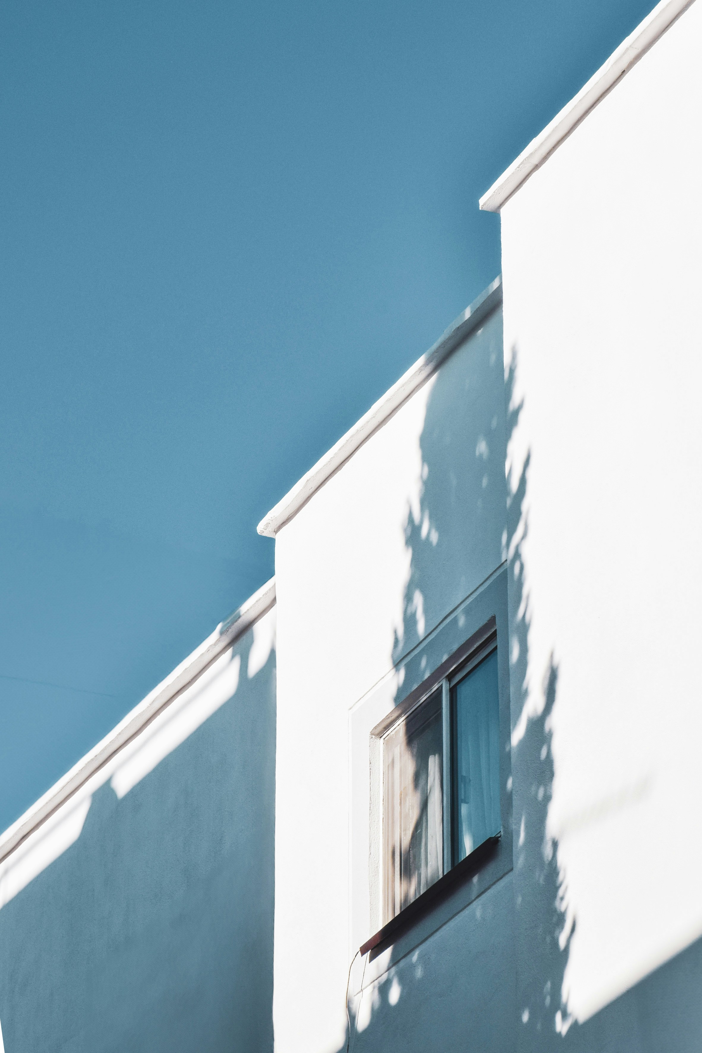 Photo by mahtaparsafar