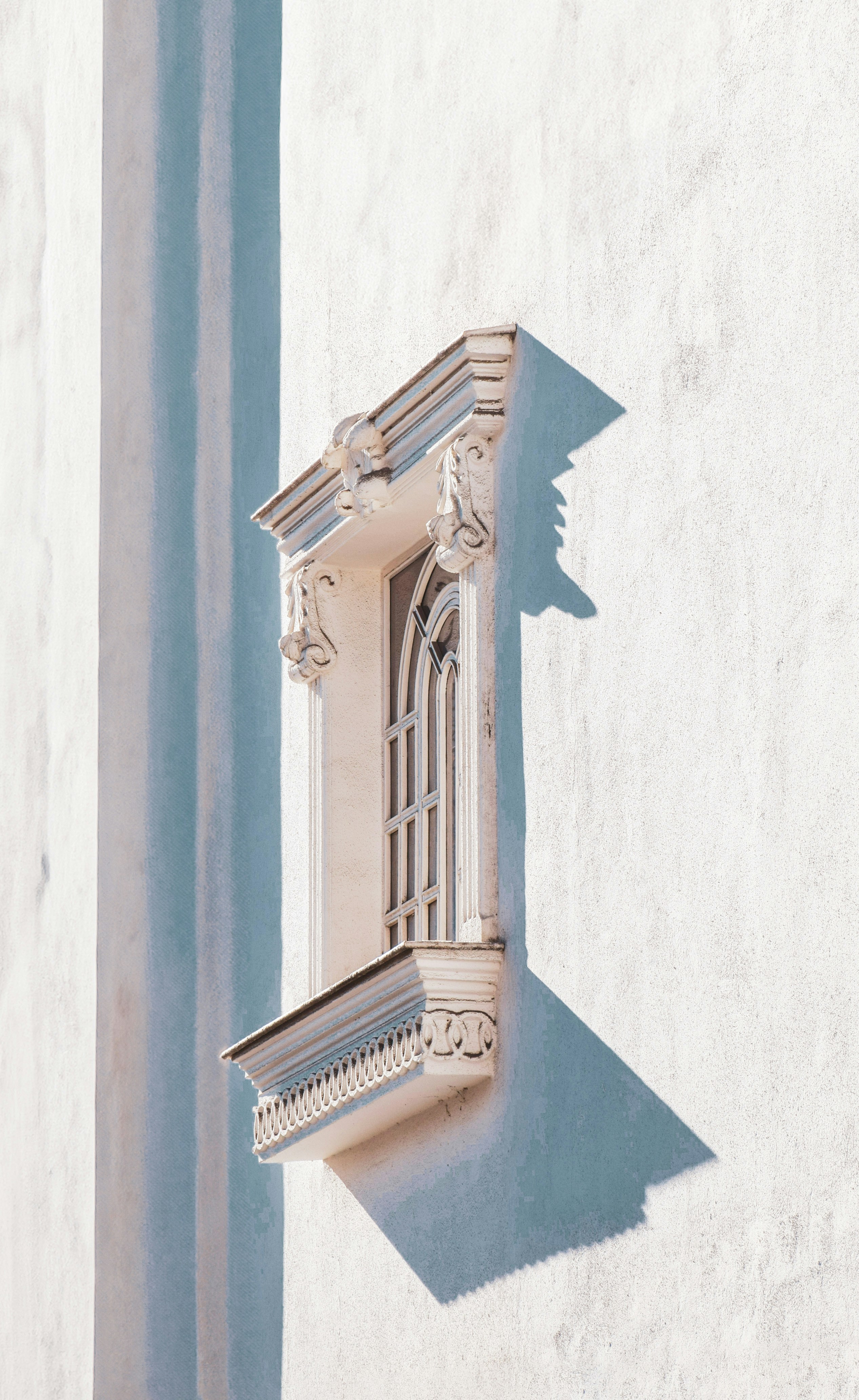 Photo by mahtaparsafar