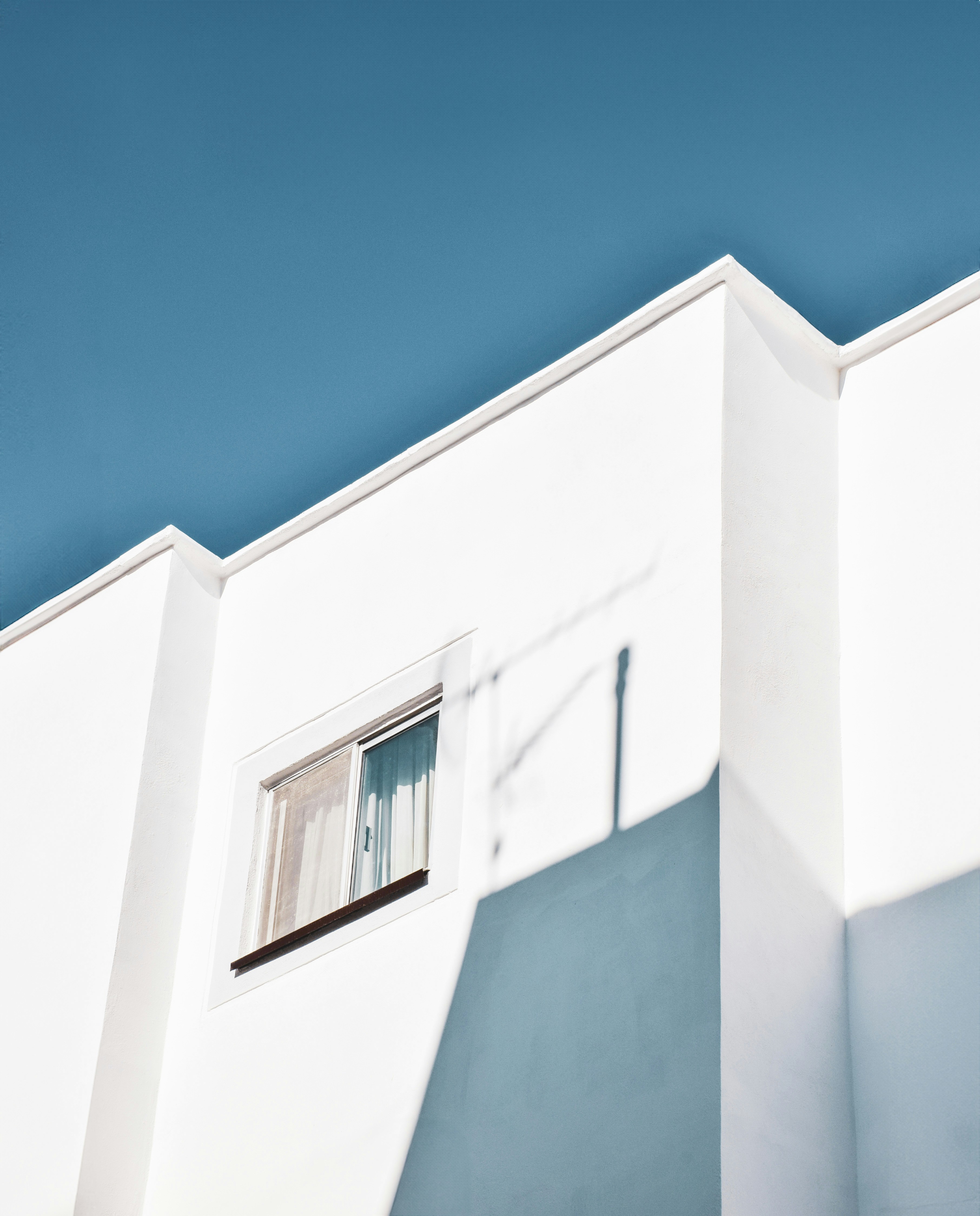 Photo by mahtaparsafar