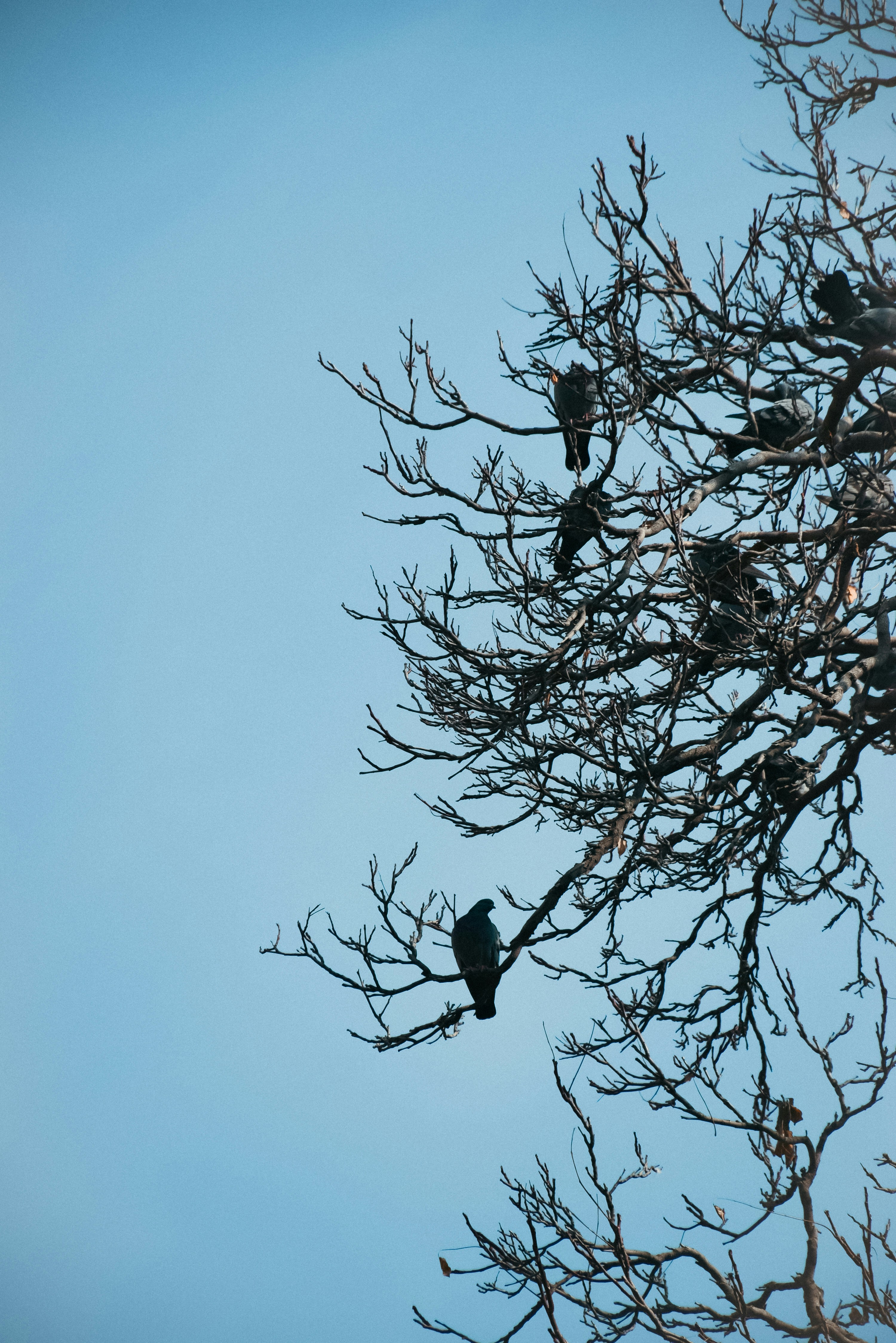 Photo by mahtaparsafar