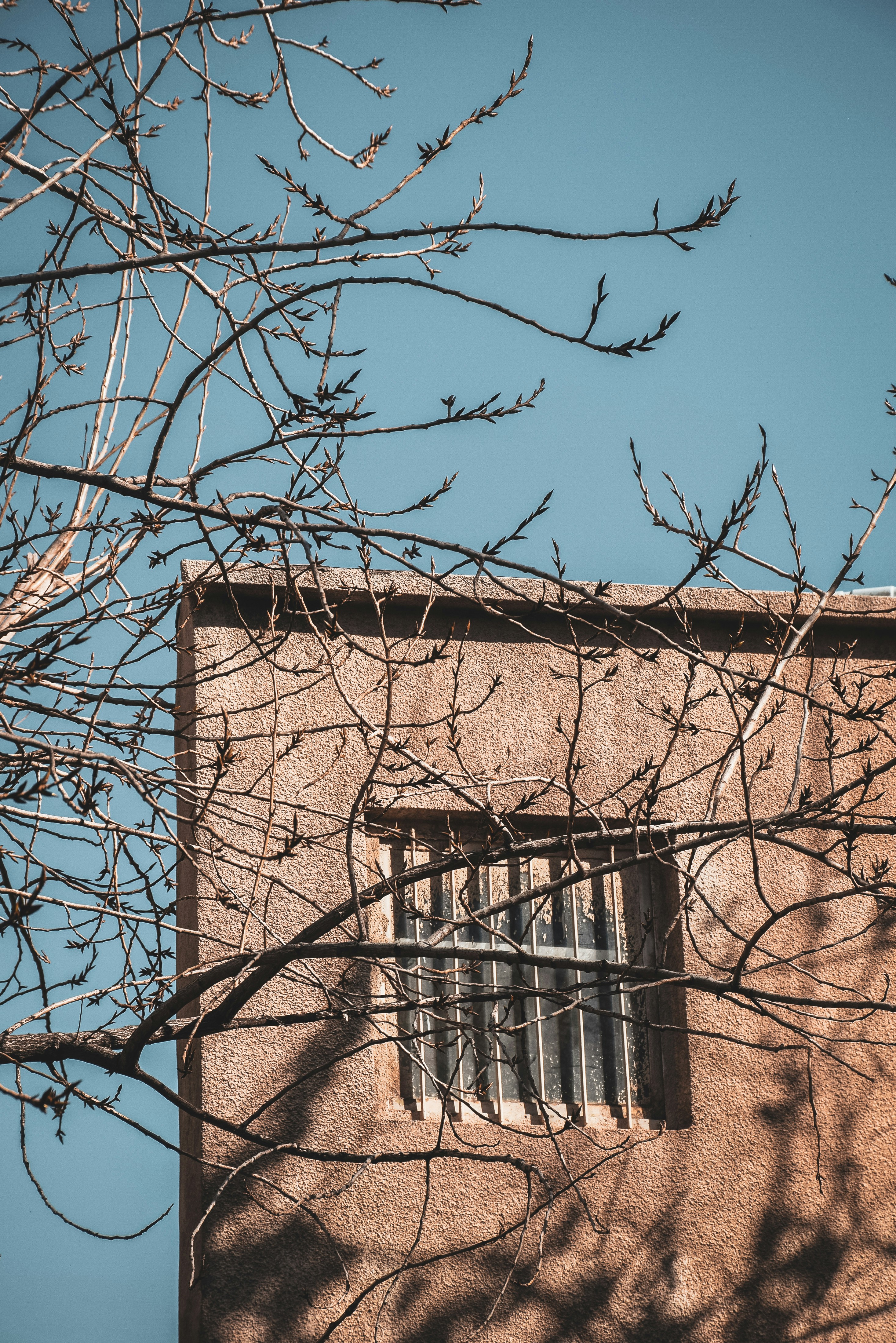 Photo by mahtaparsafar