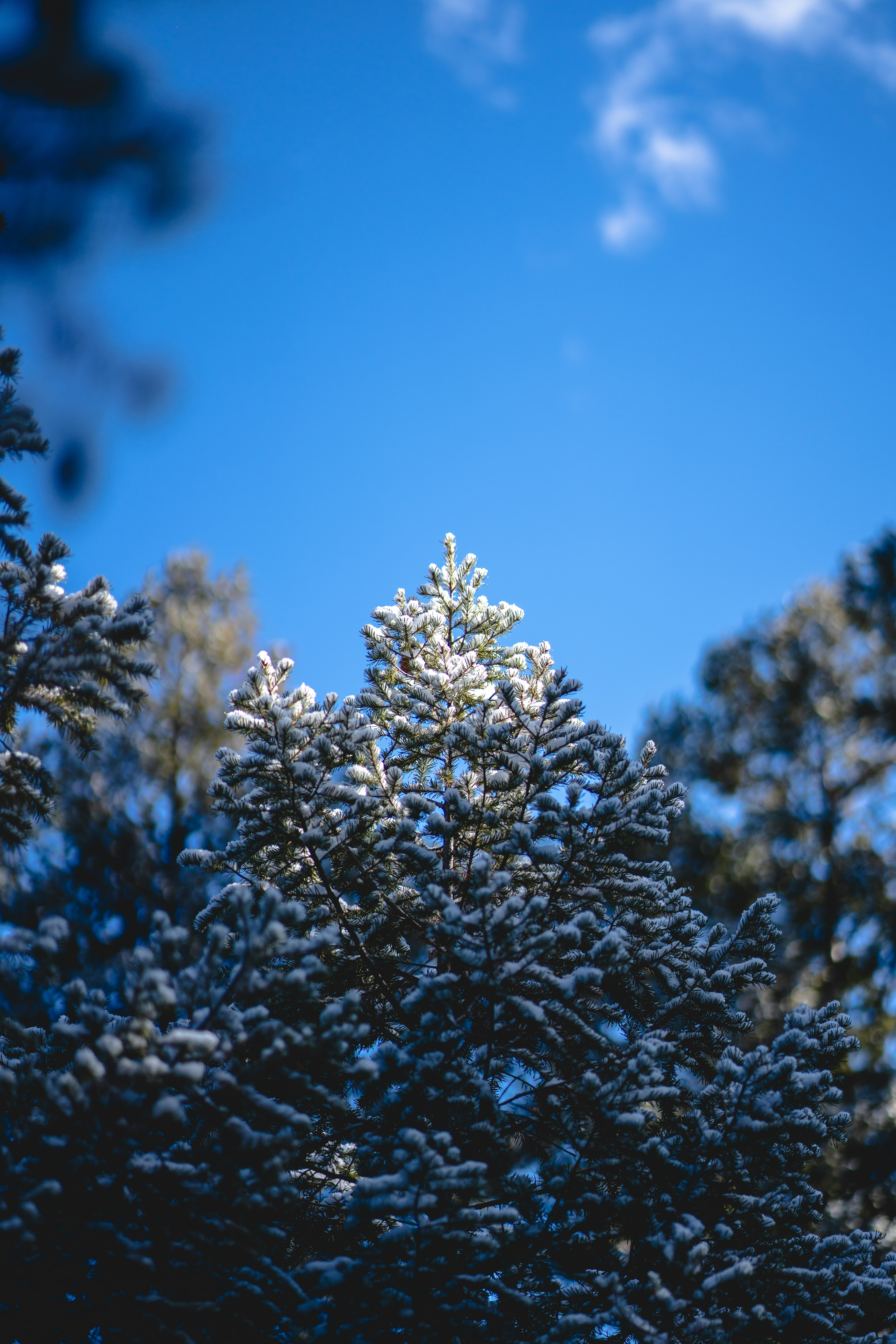 2319: January In Review