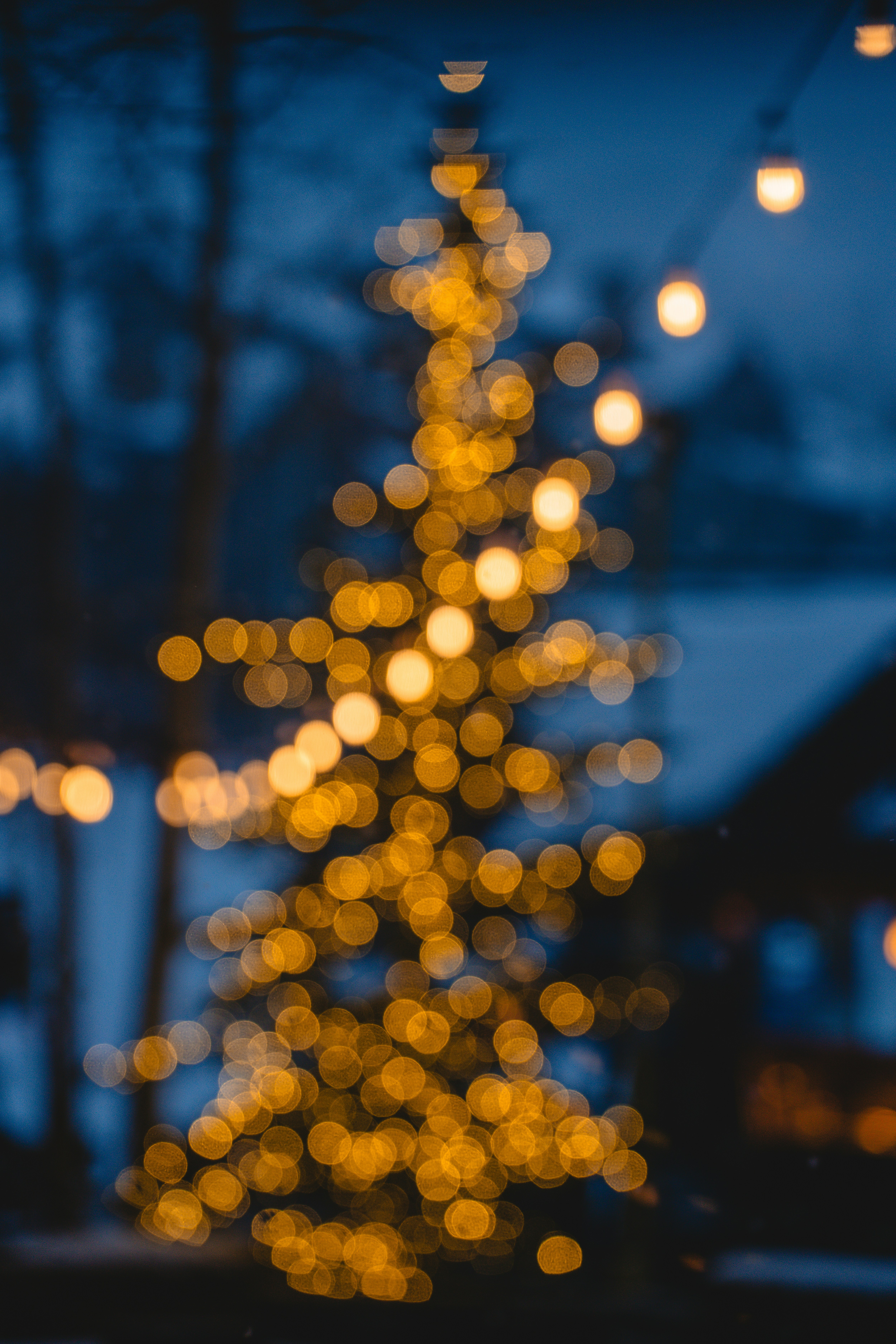 Photo by johndmurphey