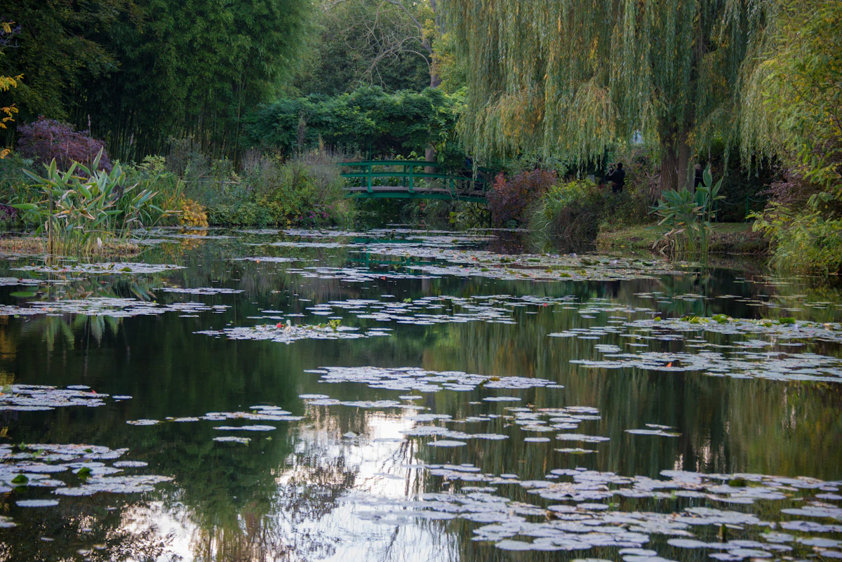 Water lily pond with bridge at Giverny